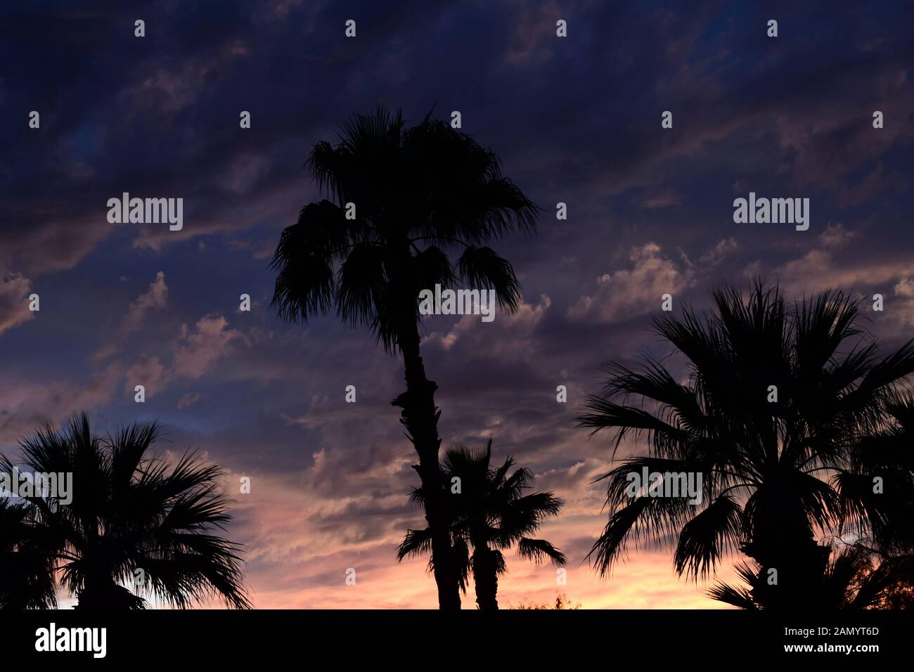 Schönen Sonnenuntergang mit dunklen Wolken hinter der Silhouette der Palmen Stockfoto