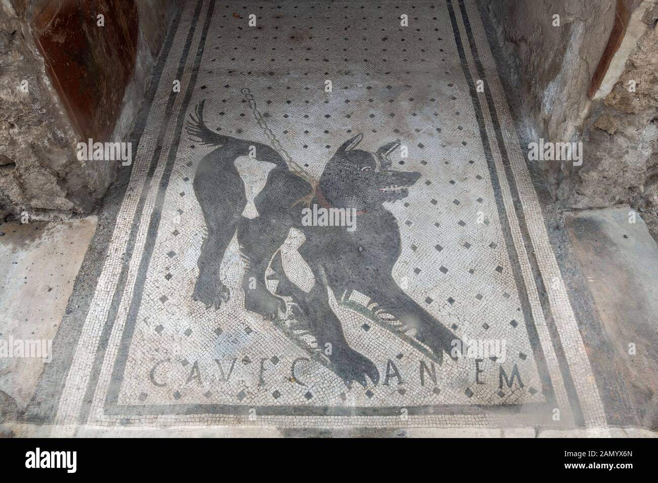 Pompei. Italien. Archäologische Stätte von Pompeji. Höhlenkanem (Geschirr des Hundes) Mosaik am Eingang zum Haus des Tragischen Dichters (Casa del Poeta T Stockfoto