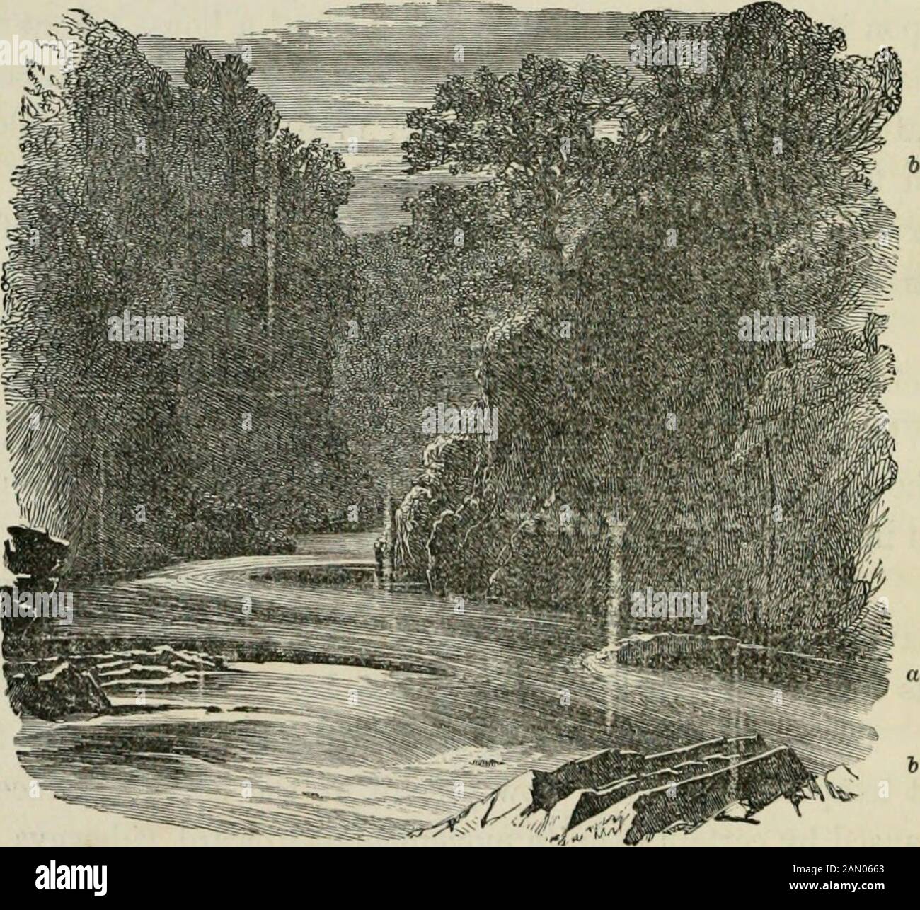 [Frost und Feuer : natürliche Motoren, Werkzeugmarken und Späne : mit Skizzen, die von Reisenden im in- und Ausland aufgenommen wurden] . wird in einer Woche kopiediniert. Die Zeit verlängert sich, wenn die Menge wächst, aber das im Gange, wie die Arbeit gesehen wurde, kann auf die Ursache bezogen werden, was auch immer die Menge sein mag. Denudation, das Abtragen von Feststoffen, die keine Temperaturen verschleißen, die jetzt an der Erdoberfläche herrschen, wird durch bestimmte bestimmte Bewegungen verursacht - nach oben, seitlich, nach unten einströmende Gase und Flüssigkeiten wliich verfestigen sich bei diesen Temperaturen nicht. Die Bewegungen ergeben sich aus der Aktio Stockfoto