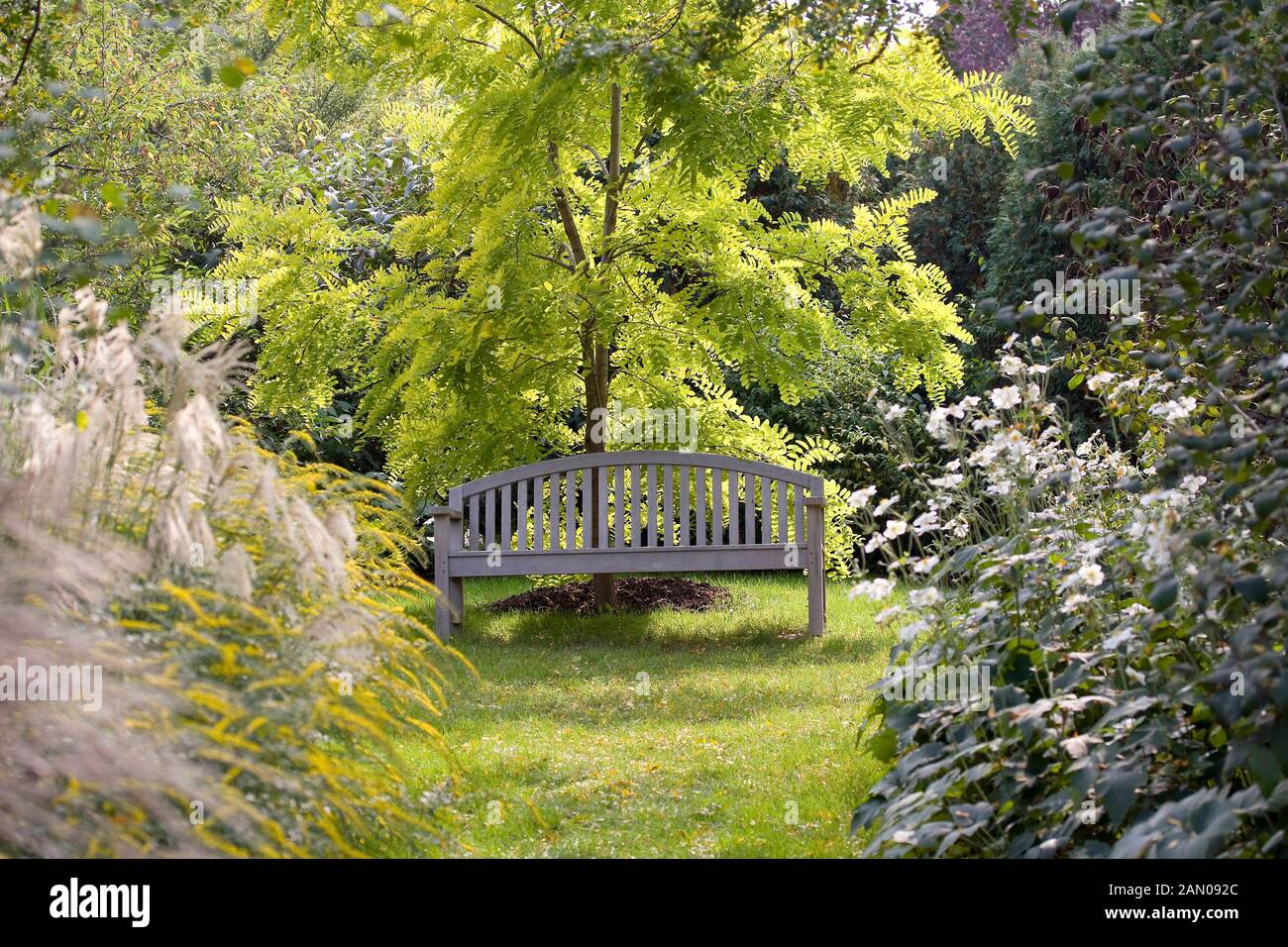 Bank unter baum Fotos und Bildmaterial in hoher Auflösung Alamy
