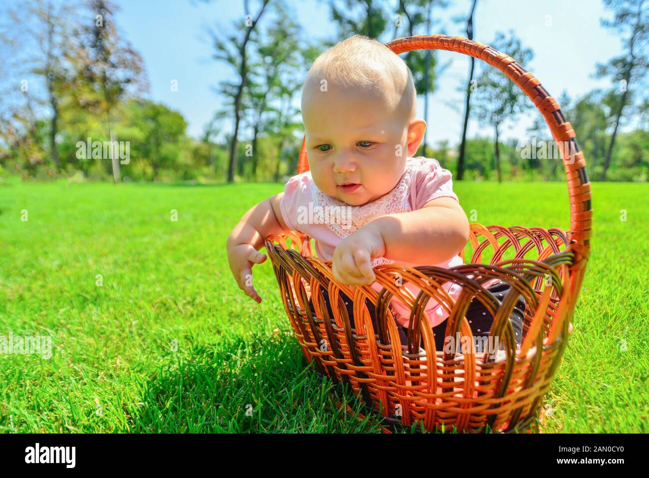 Kleines Kind in einem Weidenkorb, fröhliche und glückliche kleine Mädchen im Park. Stockfoto