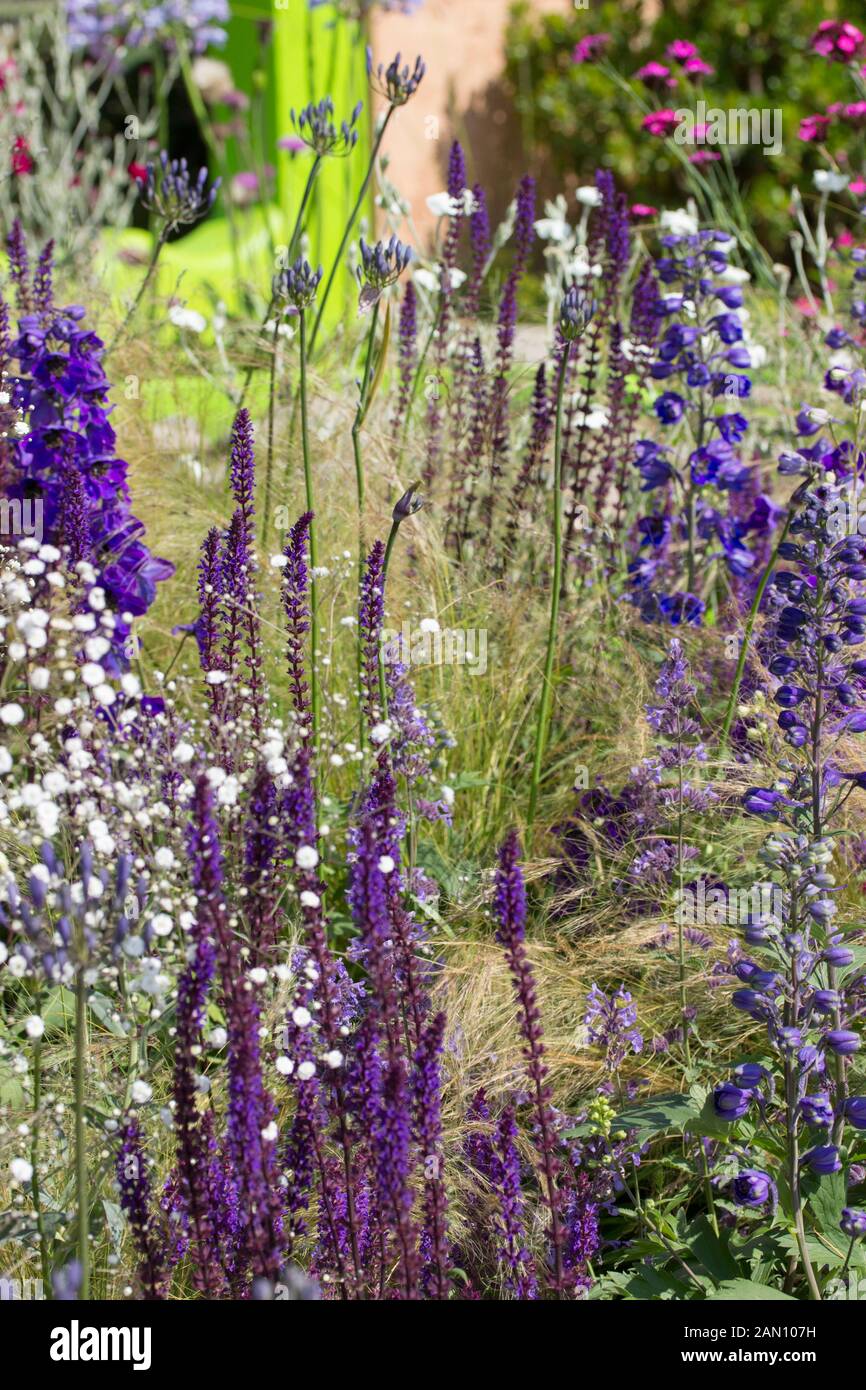 ECOVER GARTEN VON MATTHEW CHILDS RHS HAMPTON COURT FLOWER SHOW BEST IN SHOW UND GOLD MEDAL WINNER Stockfoto