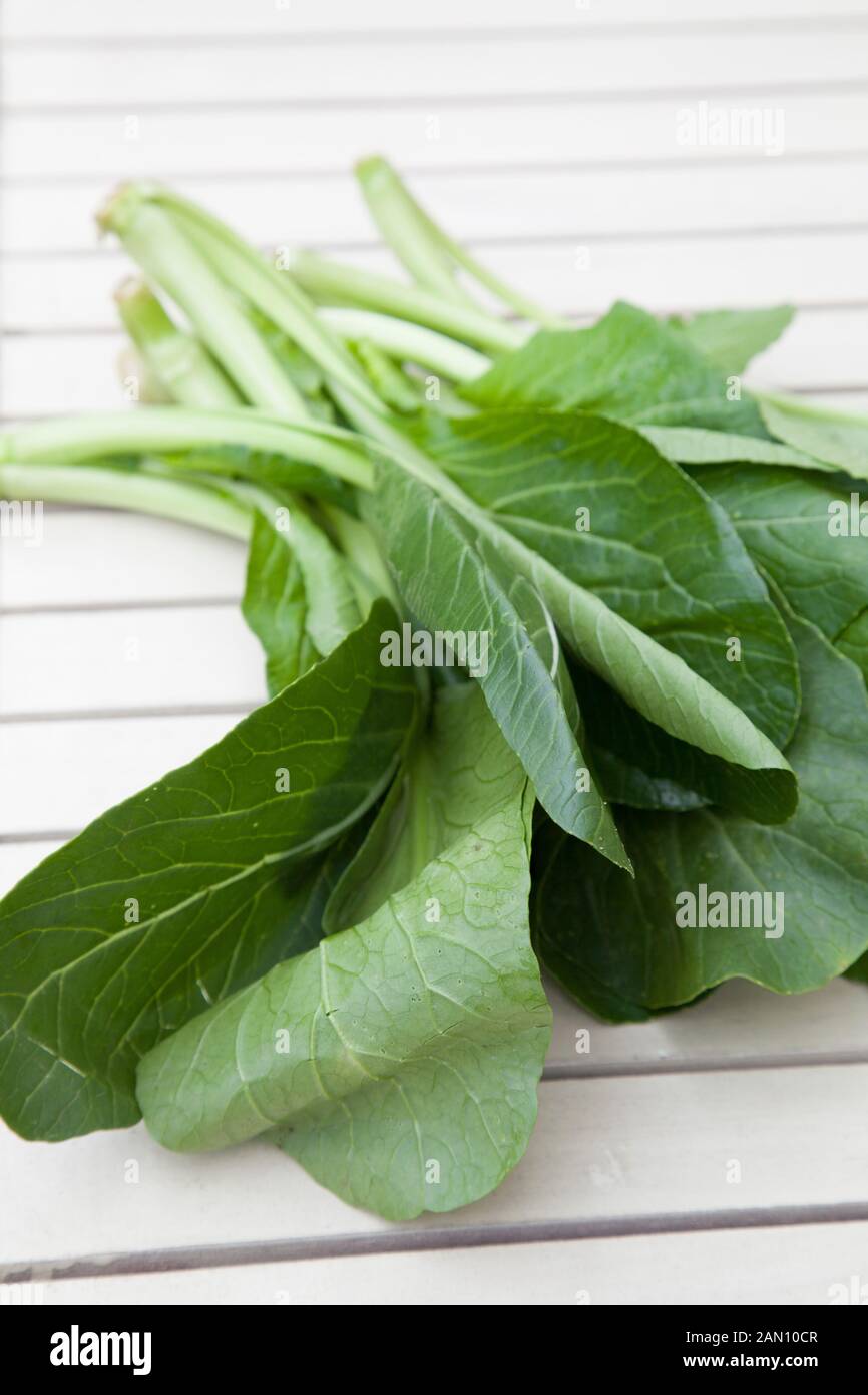 BRASSICA CAMPESTRIS VAR. PARACHINENSIS (CHOI SUM) Stockfoto