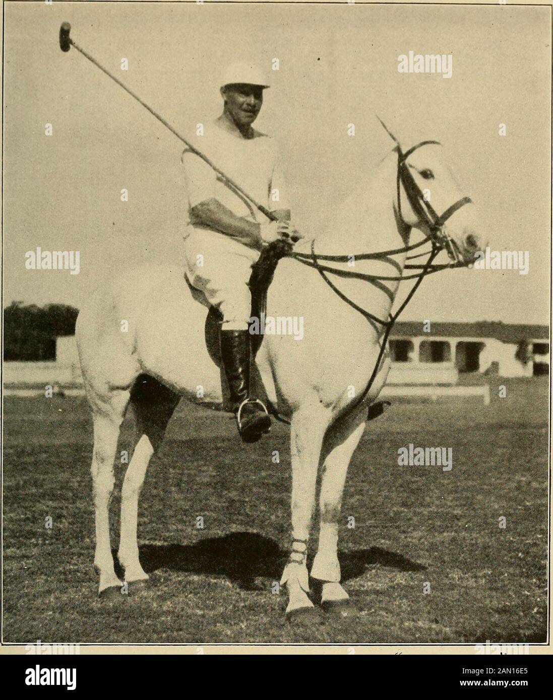 Outing. Nur Mann, der Polo mit einem Stocksattel spielt. Dies wird durch ein schwachen Bein, der Doktor, der einmal in einem Spiel einen Zisschenkelknochen gebrochen hat, notwendig. Dr. Boe-sekes Teamkollegen sind normalerweise seine Mitstreiter E. A. und Dr. B. C. Boeseke, und sein Sohn E. J. Boeseke, Jr. Diese menplays einen düsteren Polo-Stil, der die Akzeptanz bei den Fachrichtern abfindet, die sagen, dass ihr Erfolg vor allem auf der Geschwindigkeit eines Pony, des WonderfulBlue, Zurückzuführen ist. Es wird als das Fastestanimal im Spiel geglaubt. Dieses Pony ist Eigentum von Dr. E. J. Boeseke und es ist keine Seltenheit, dass er fünf der acht Perioden O spielt Stockfoto