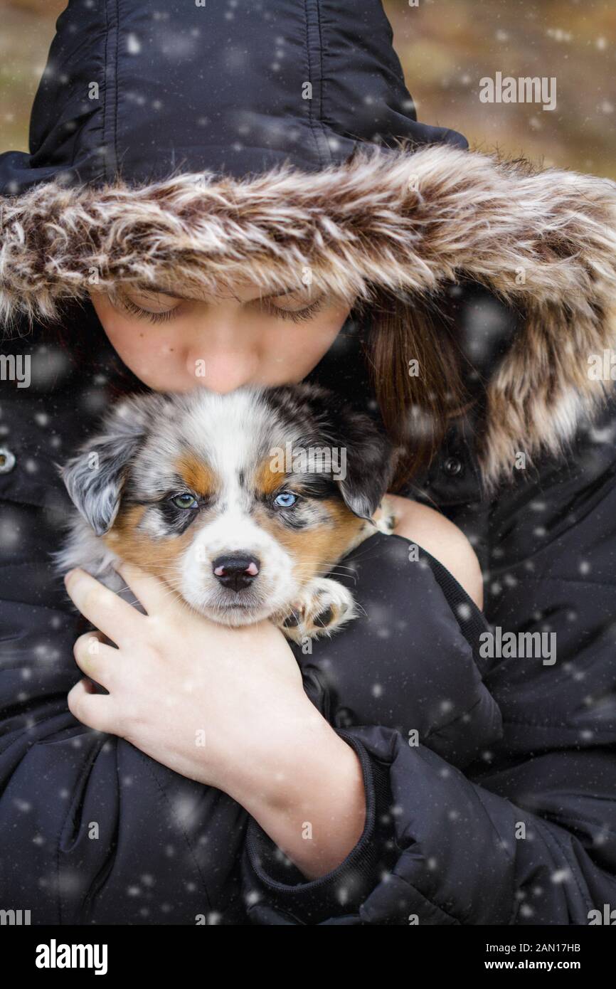 Schönes junges Mädchen hält ihre sechs Wochen alten kleinen Hund im Schnee draussen. Selektiver Fokus auf das Gesicht des Australian Shepherd Welpen. Er hat ein Blu Stockfoto