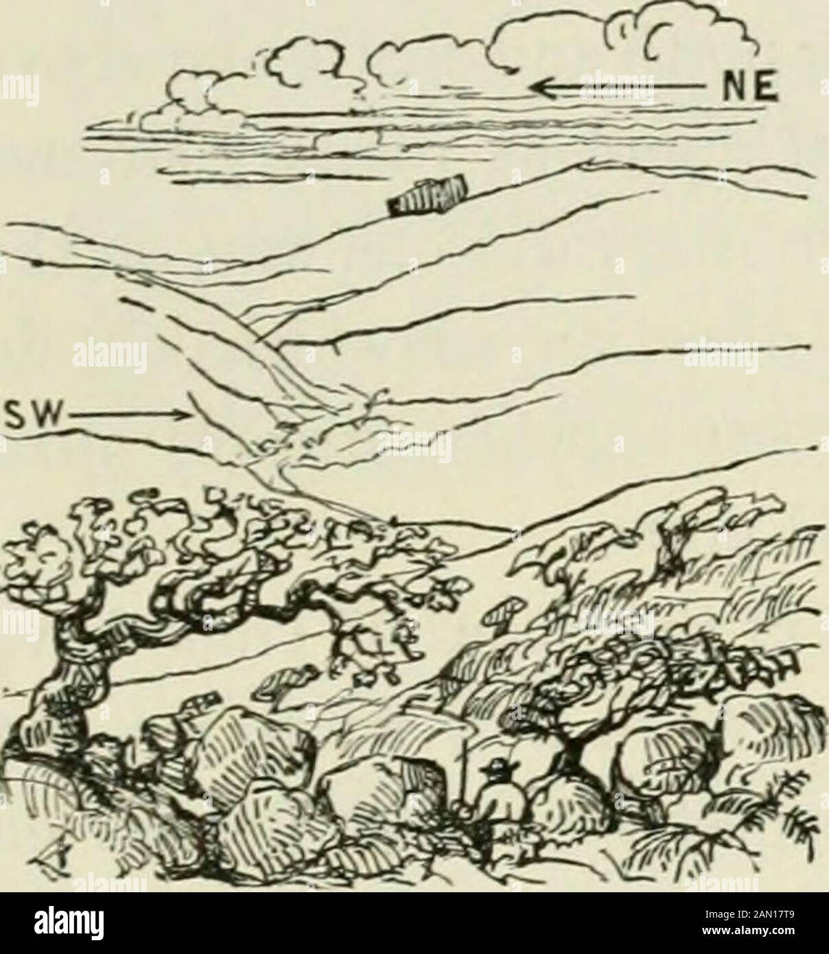 [Frost und Feuer : natürliche Motoren, Werkzeugmarken und Späne : mit Skizzen, die von Reisenden im in- und Ausland aufgenommen wurden] . d Meer, wenn man von kleineren zu größeren Kreisen umzieht. Der polare Wind weht nicht wütend, weil Luft draggedrund ist und sich in östlicher Richtung bewegt, während er Wärme und Losgewicht auf dem Weg zum Äquator sammelt. Aus einem ähnlichen Grund wird eine äquatoriale Ruhe, die sich auf einen Meridian absetzt und aus großen bis kleinen Kreisen weht, zu einer awesterischen mks. Er spielt die Rolle des Eisenbahnzuges und überholt den kriechenden Baum, der auf den britischen Inseln wächst.Er beugt Bäume, aber nicht immer Tee Stockfoto