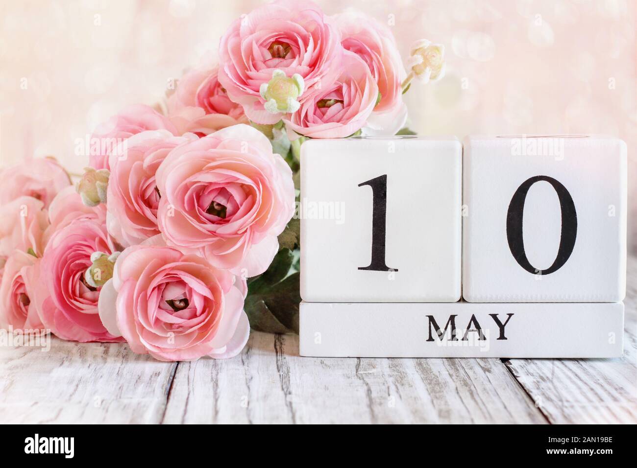 Weißes Holz Kalender Blöcke und Rosa ranunkeln Blumen mit dem Datum 10. Mai zum Muttertag. Selektiver Fokus mit unscharfem Hintergrund. Stockfoto