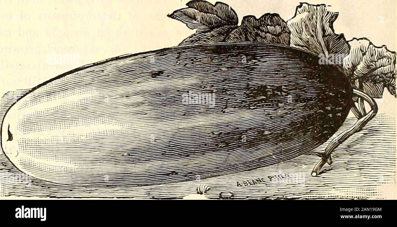 Haus Im Scheffel Stockfotos Haus Im Scheffel Bilder Alamy