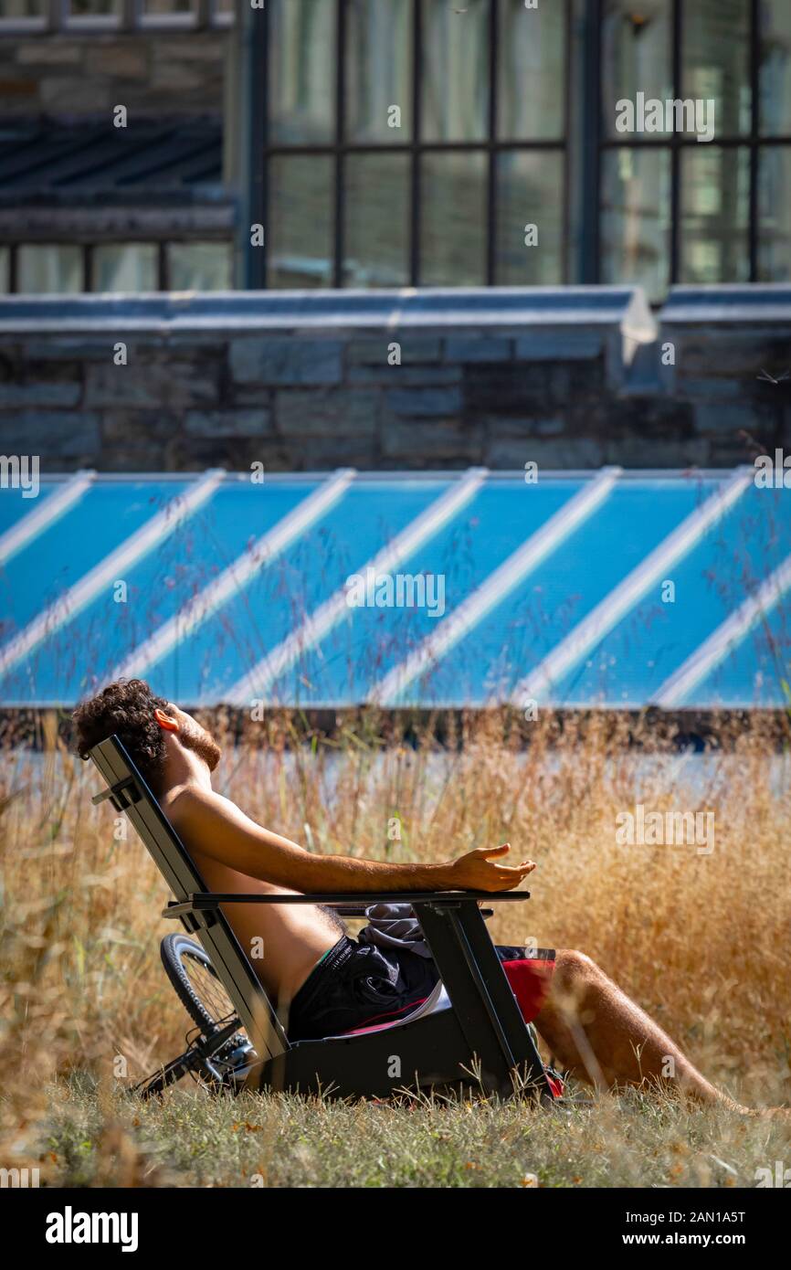 Mann mit Bart sitzt Bräunen in Rasen Stuhl und saugt die Sonne, in der Nähe von großen Solaranlagen Stockfoto
