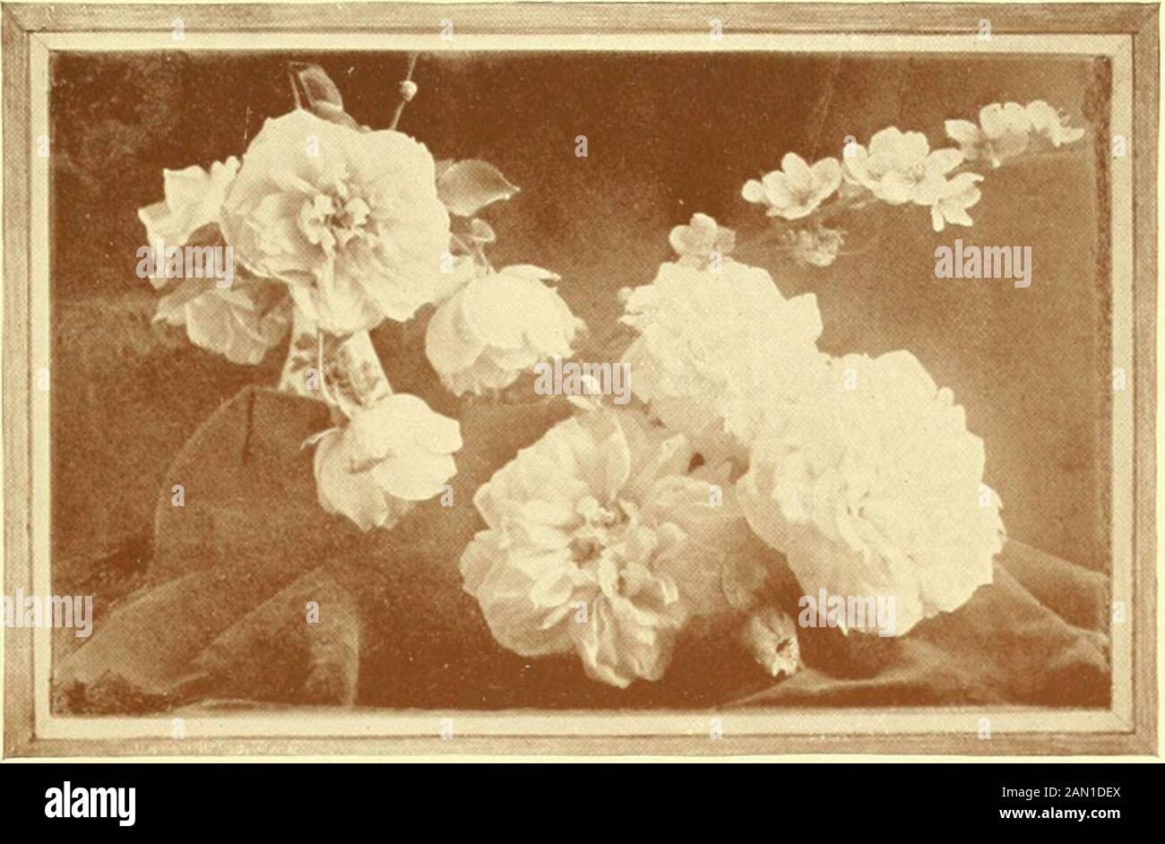 Bilder aus Natur und Leben, Gedichte . 75 ly^e Kb5? Wird Icicle ir? AX-Säule^ -7ai l7looi77<?cl 30 TCJiK ir? Yjvir?-?;ilkT^-d, •? ^vifyf^-DW^ oil t?* 3^ai lr a i w<?r<? 50 bTiCjr?! OL r/oot?. W ^ortCj-lriry will ich?-? ,^il<?r7T VOV1TI7 wird var7i^^7 civii^Kly.71 iy o^ 11 CI MT JJ-7~?r7 5ir7(y3 iW, 5vii7 ol vr;licl<^? I VI1 lovc jor^vcr^ will aDicl<e. 77 Stockfoto