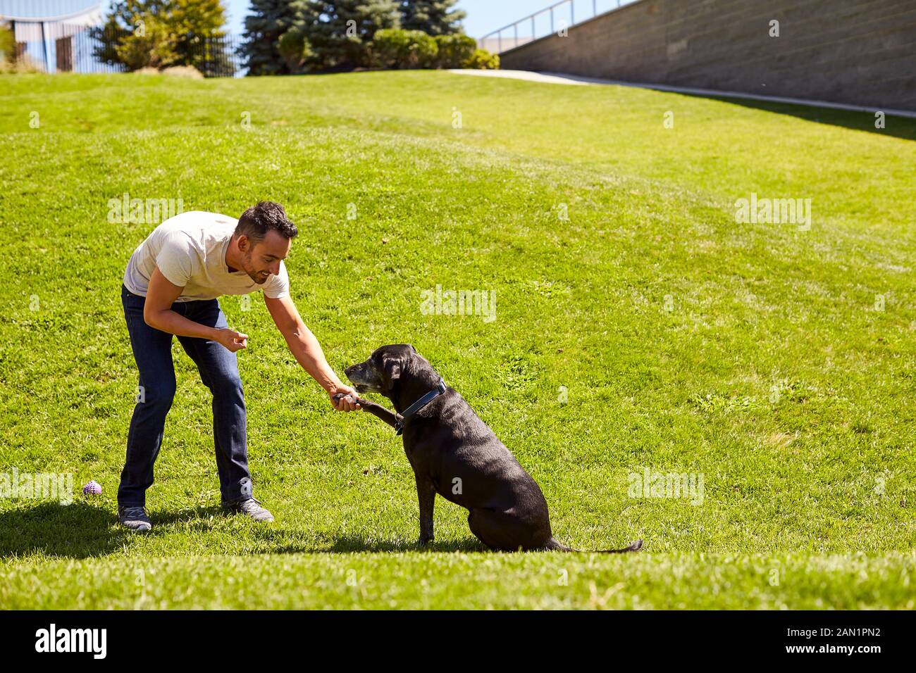 Ein Mann schüttelt mit seinem Hund die Hände. Stockfoto