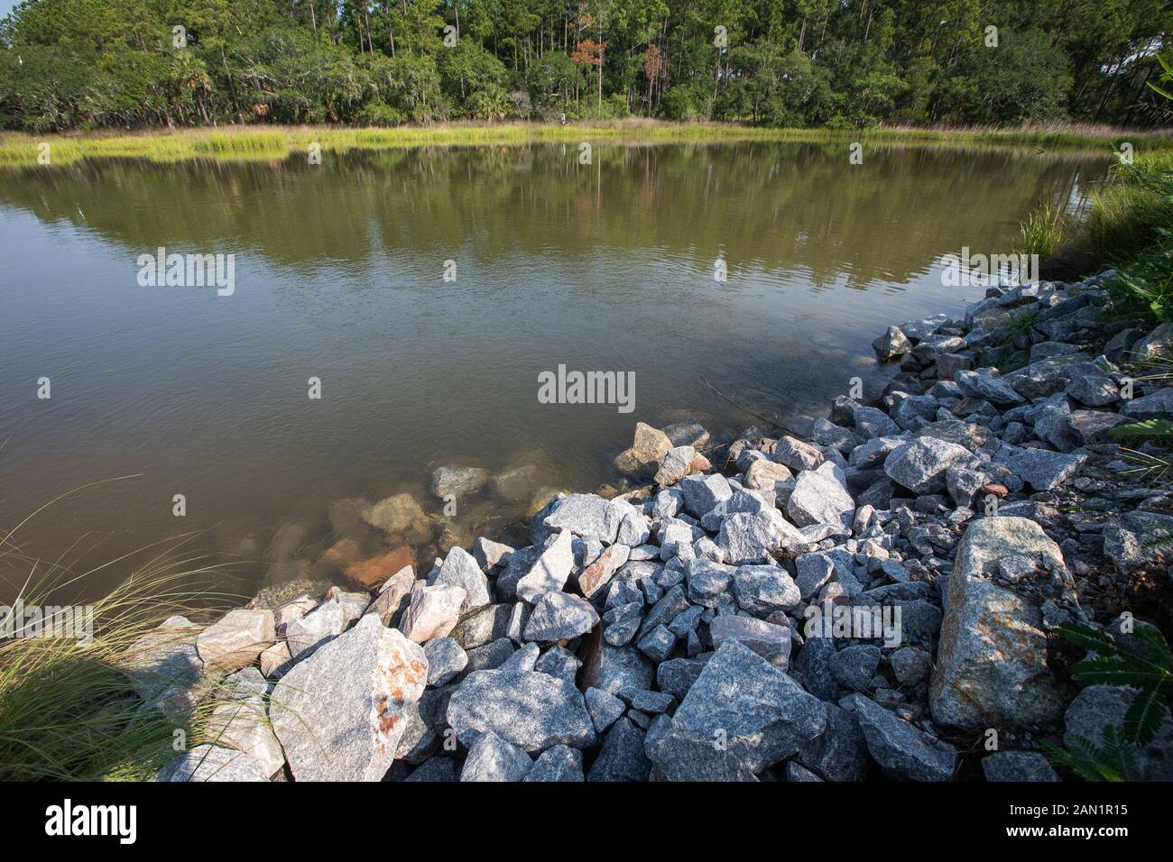 Südcarolina Lowcountry marsh Szenen mit retention Teiche für Überschwemmungen. Stockfoto