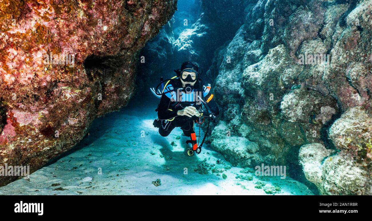 Taucher erkunden einen Canyon am Great Barrier Reef in Australien Stockfoto