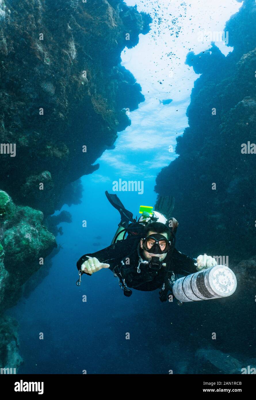 Taucher erkunden einen Canyon am Great Barrier Reef in Australien Stockfoto
