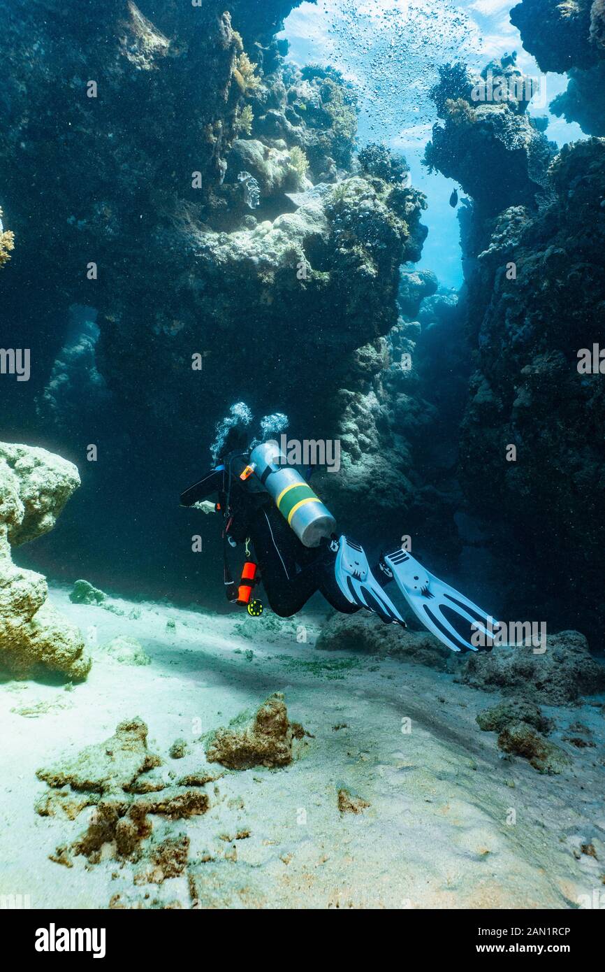 Taucher erkunden einen Canyon am Great Barrier Reef in Australien Stockfoto