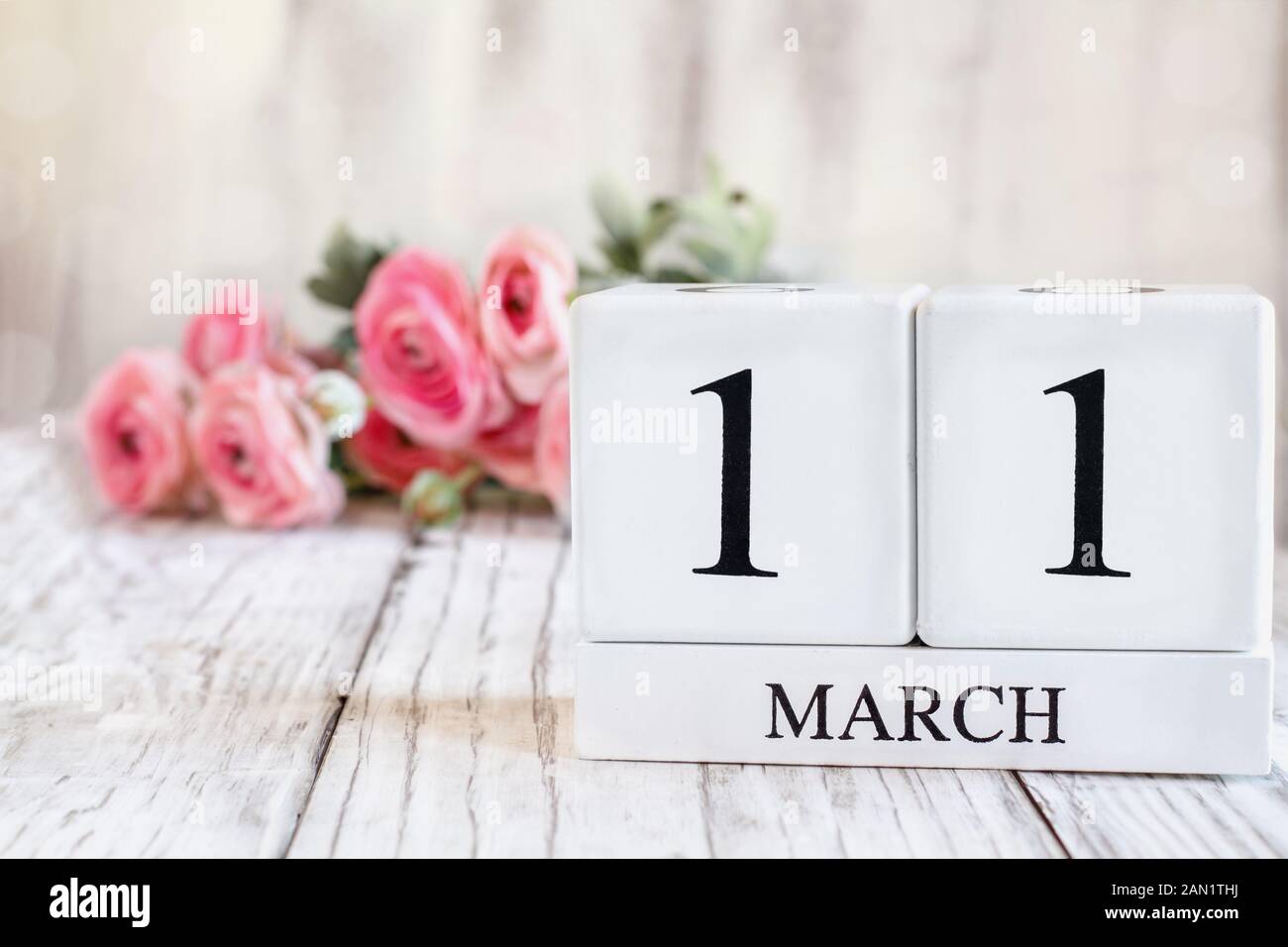 Weißes Holz Kalender Blöcke mit dem Datum 11. März. Selektiver Fokus mit rosa Ranunkeln im Hintergrund über einen hölzernen Tisch. Stockfoto