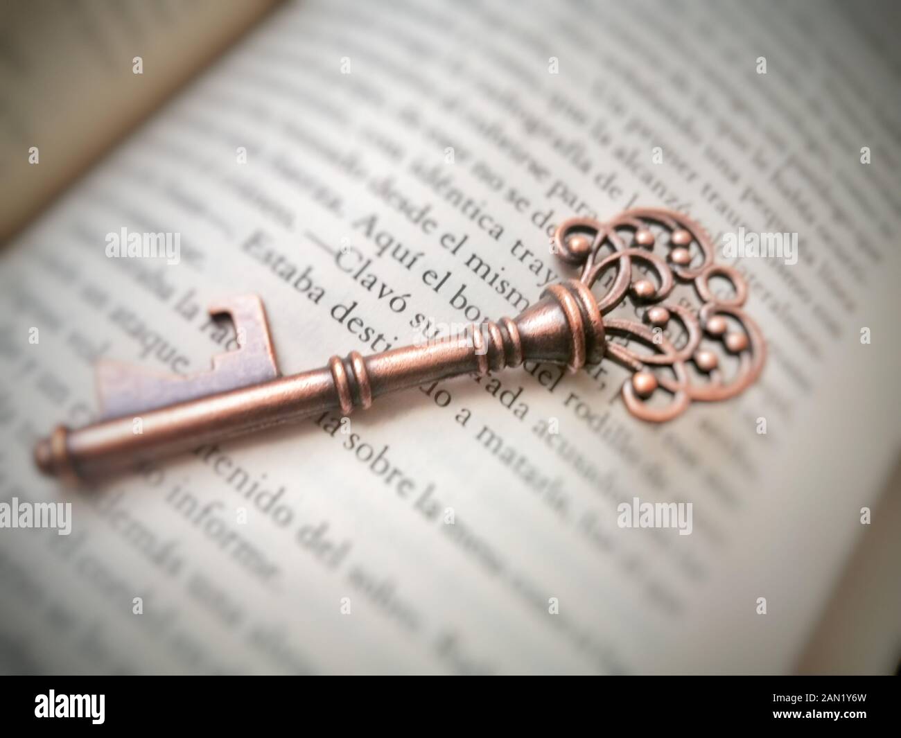Alte Schlüsseldetails auf Buchseite Stockfoto