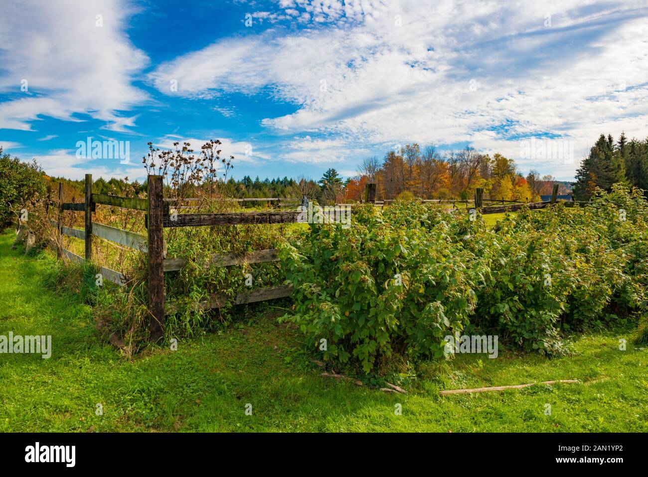 Brattleboro, Vermont Umzäunter Fallgarten Stockfoto