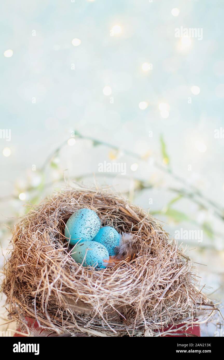 Echtes Nest mit drei Gefleckte blaue Eier sitzen über einem Stapel von Vintage Books mit unscharfen bokeh Hintergrund.. Stockfoto