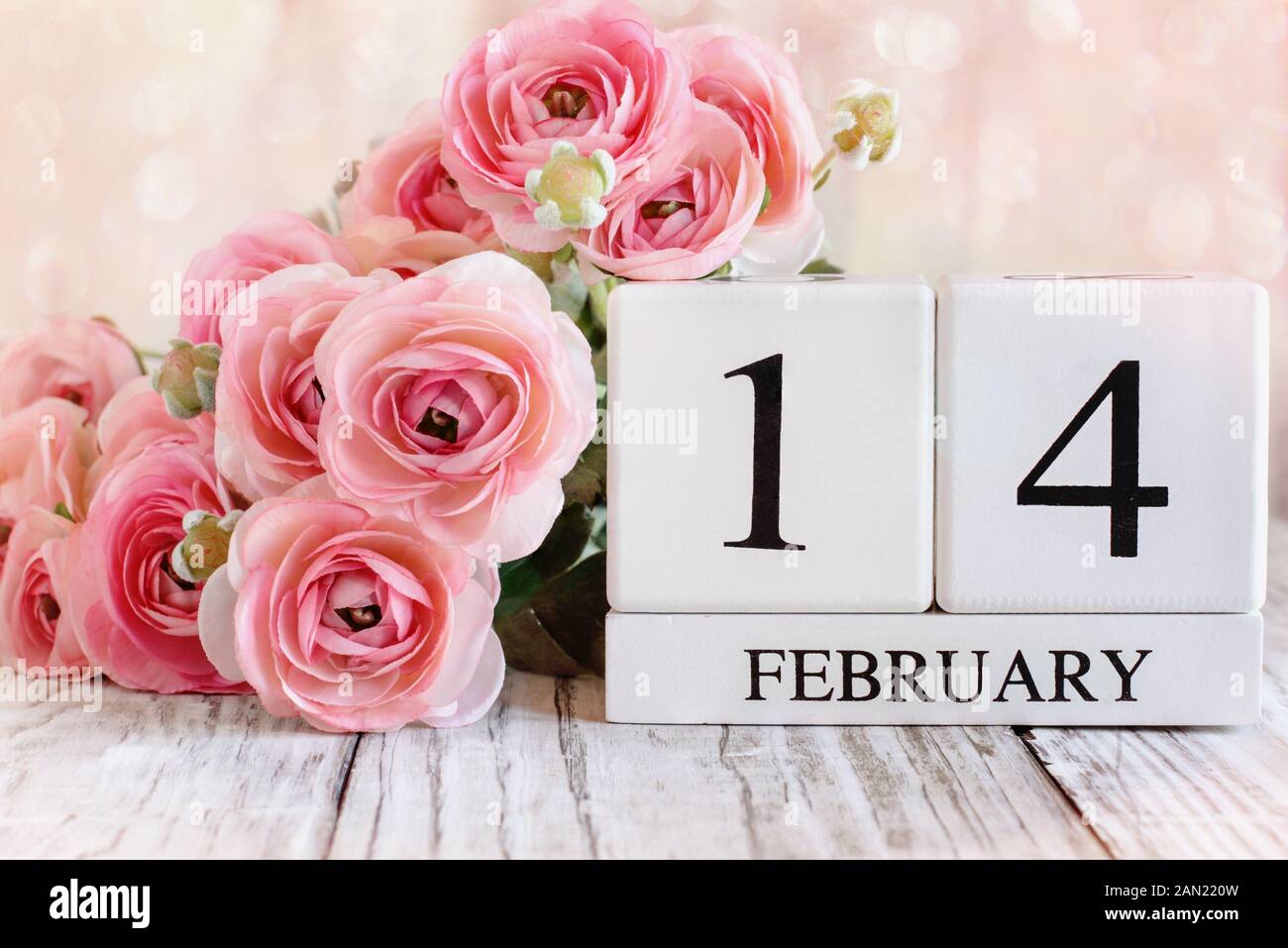 Weißes Holz Kalender Blöcke und rosa Ranunkeln mit dem Datum 14. Februar für Valentines Tag. Selektiver Fokus mit einem verschwommenen Hintergrund. Stockfoto