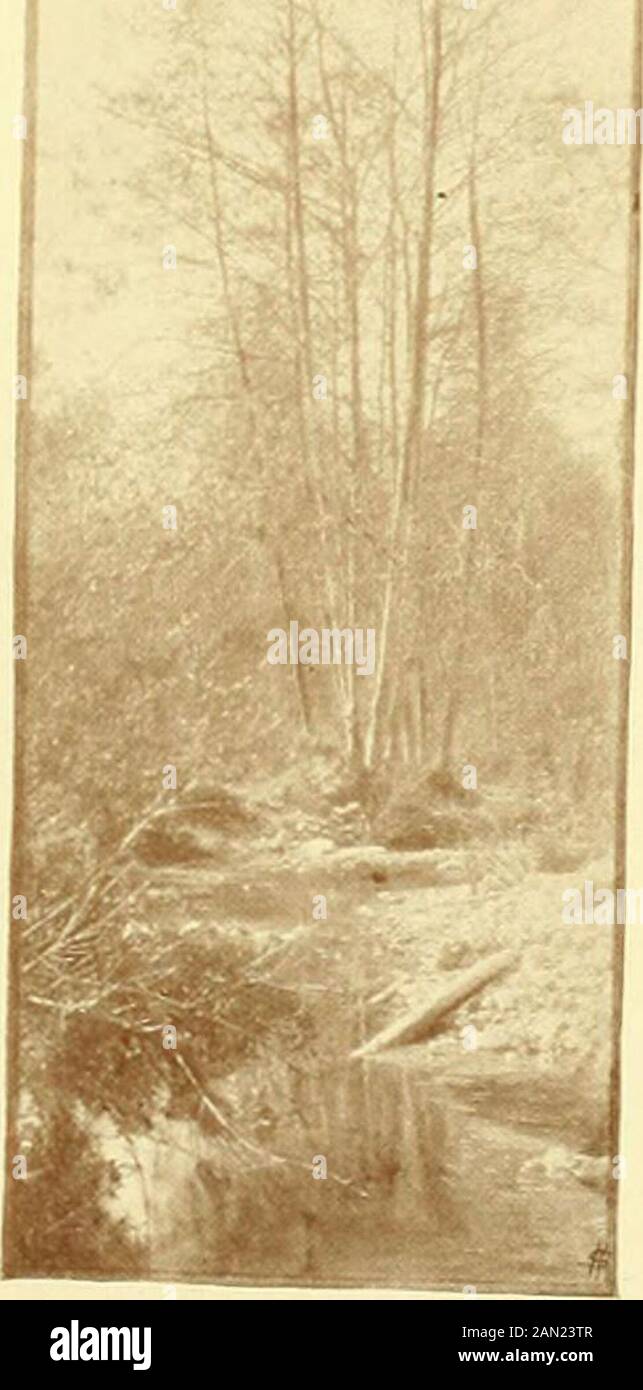 Bilder aus Natur und Leben, Gedichte. Iffi;--. I /LI 1 J Il II. ^^^?^? I loWbluy^ed IK? Wild RO3e3vx/t oviiagi!- • i^Z-- n Stockfoto