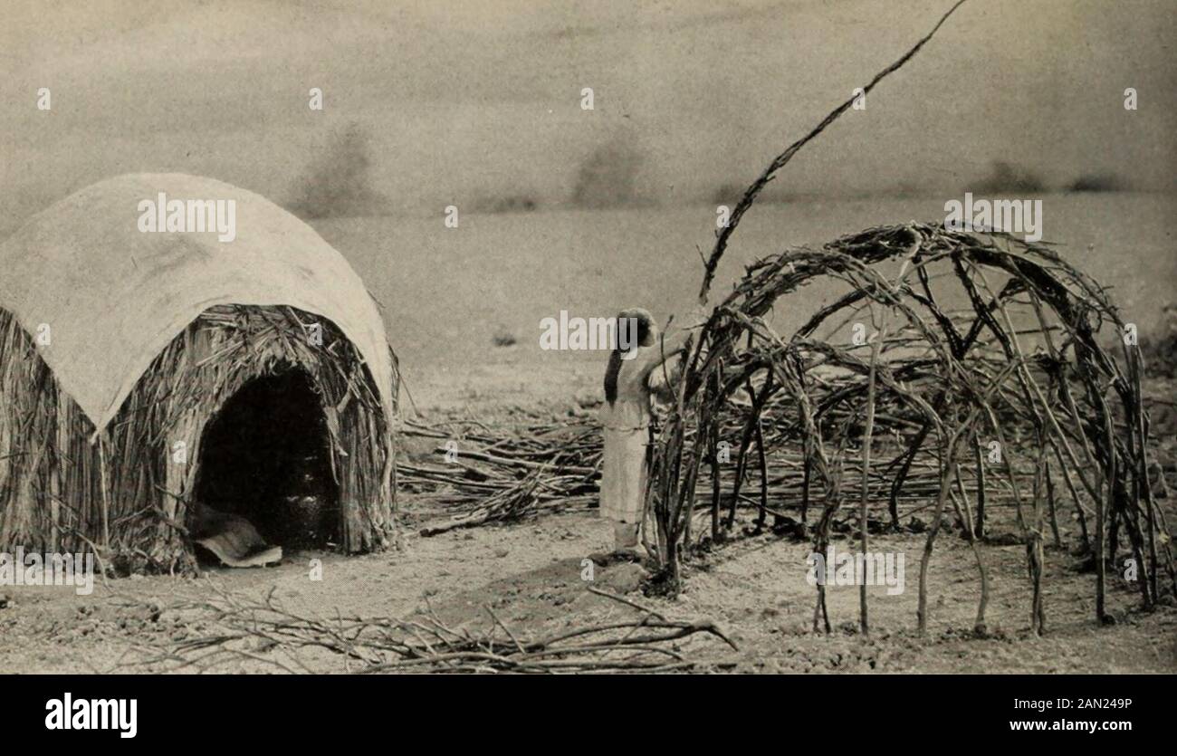 Allgemeiner Führer zu den Ausstellungshallen des American Museum of Natural History . die erwachsenen Männer. Jede so-ciety hatte einen speziellen Tanz und spezielle cos-tumes. (Siehe die Arapaho-Fälle für cos-tumes von Tänzern.) Es gab Andertänze, die mit Stammesreligiouszeremonials verbunden waren, deren bekanntestes und mostimportantes Modell der Sonnentanz ist, das von einem Modell links von thetipi illustriert wird. Der Sonnentanz wurde im Frühsommer annuallyin in Erfüllung der Avow abgehalten, die während des vorhergehenden Winters von einigen Mitgliedern des Stammes gemacht wurden, die wisheda krank im Verhältnis zur Erholung waren. Der Tanz in sich vollzog Selbstfolterung, große körperliche e Stockfoto