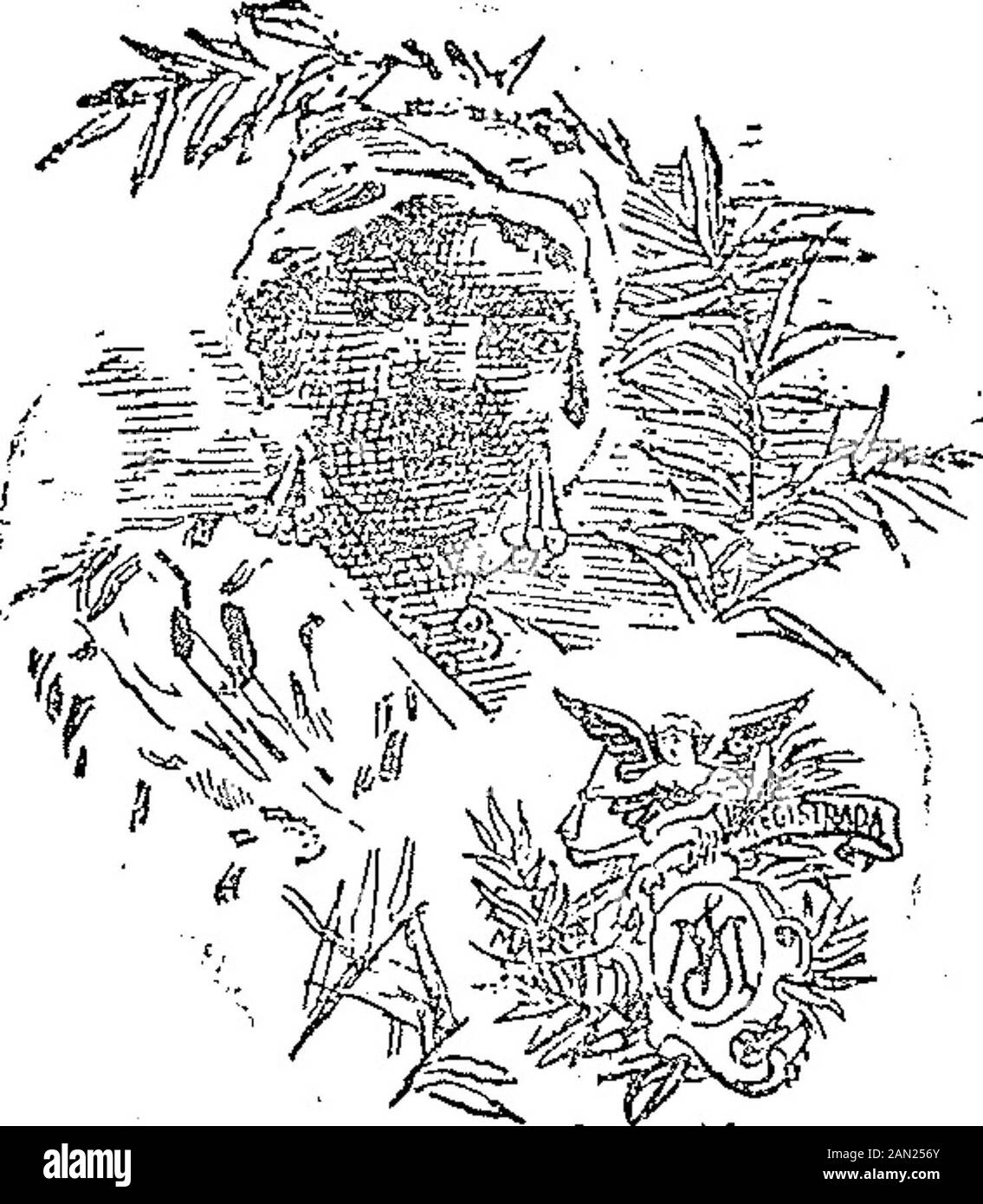 Boletín Oficial de la República Argentina argentina around 1ra sección. Aeía N". 11.993 "Á la Croix" Mayo 26 de 1903.- Societé Francaise deCotons á coudre.-Distinguir hilos .y tor-cidos de algodón. Tucumán 745. V-13-Junio. ACTA W. 12.070. Dosé B^TV^TV^U Junio 6 de 1903.-H. Henneberg y Ca.-Distinguir fierro galvanizado en chapas.Clase 8.-Maipú 67. V-13-Junio. ACTA-Nr. íl.944 j^^t-SvjcS?;. Jimio 12 de 1903.- Carlos Galli.-Distin-guir tejidos, tienda, mercería Clases 44 al55 inclusive.-Artes 446. V 18-Junio. Acia "". 12.053 "Ruberoidí Junio 4 de 1903.-The Standard PaintCompany.-Distinguir una substancia fle- Stockfoto
