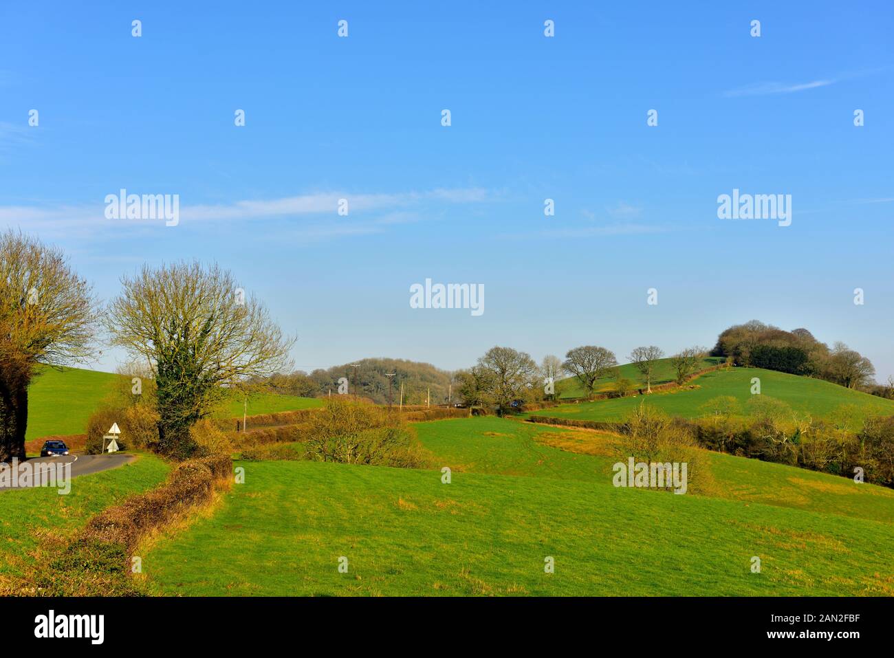 Landstreifen, der durch die Landschaft der sanften Hügel im ländlichen Devon kurvt Stockfoto