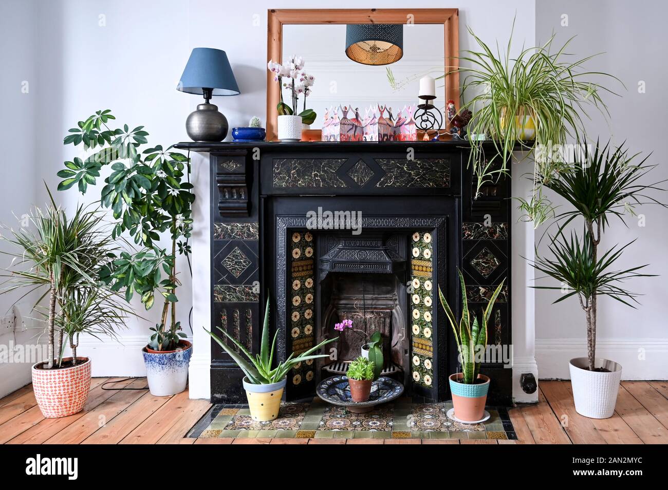 Authentische häusliche Interieur mit viktorianischen Fliesen- Kamin durch eine Auswahl an gesunden grünen Zimmerpflanzen in Töpfen umgeben. Stockfoto