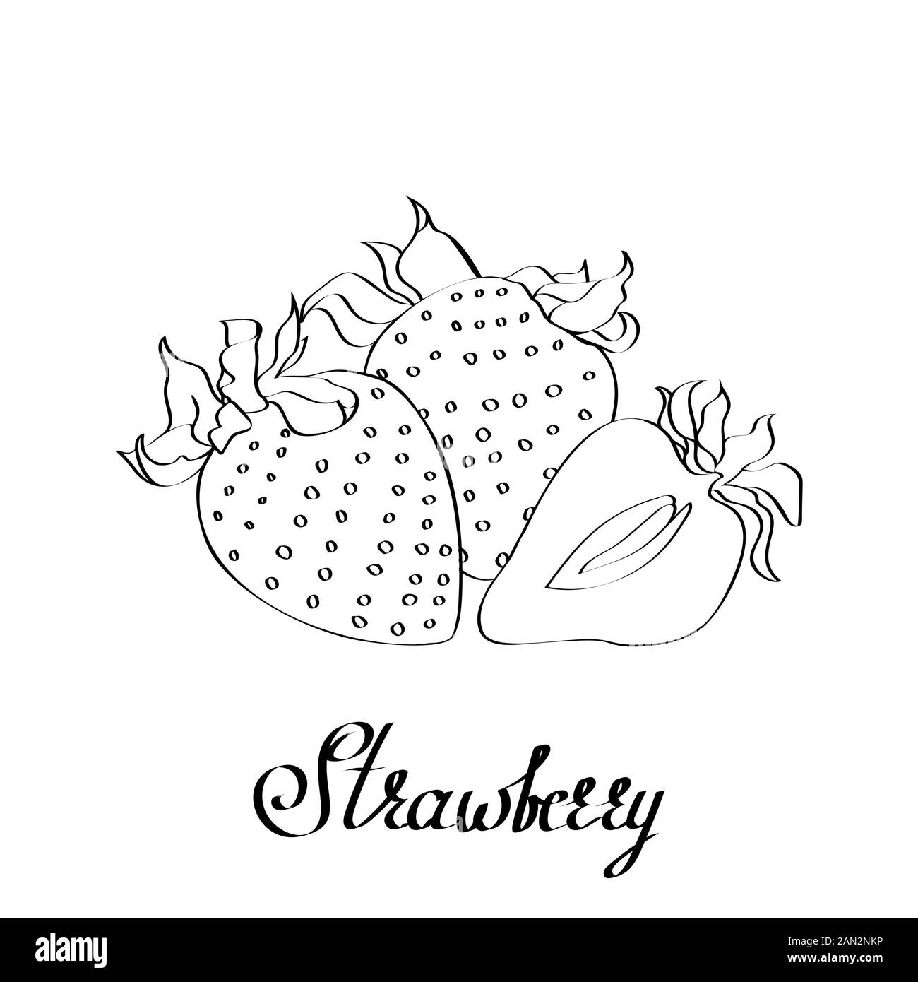 Vektorpfadfarbe Erdbeerkarte mit Typ Stock Vektor
