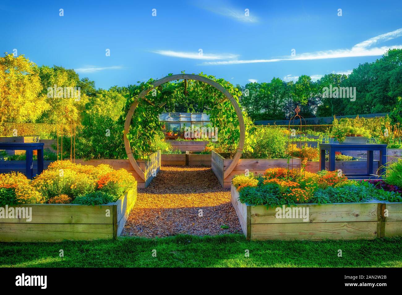 Gärtnerei im Sommer am späten Nachmittag, Hertfordshire, England Stockfoto