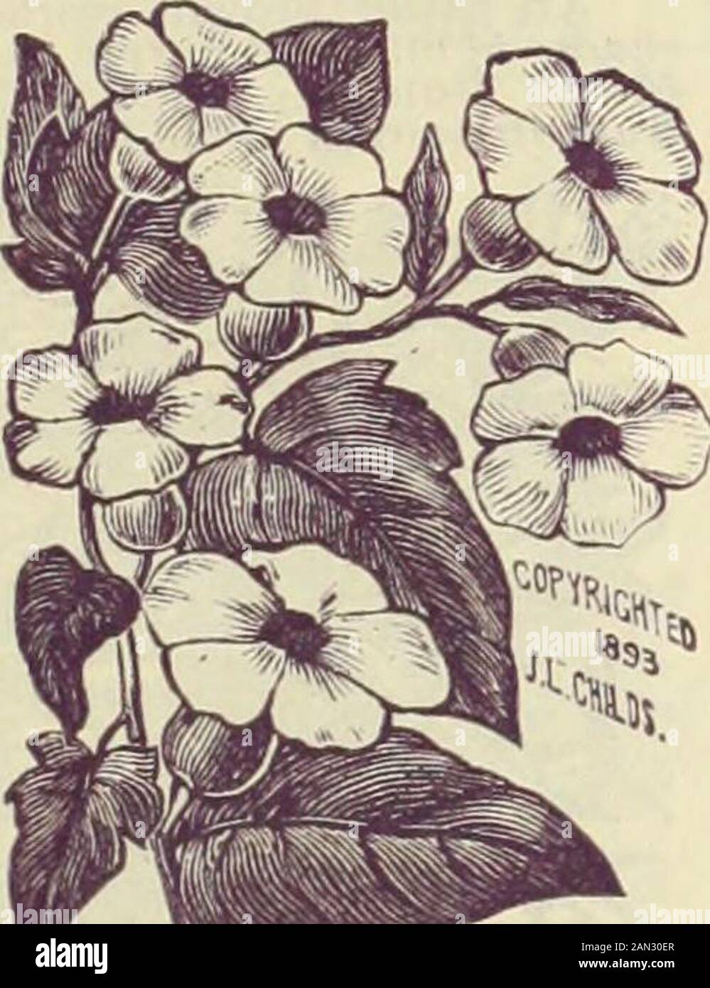 Childs seltene Blumen, Gemüse und Obst für das Jahr 1895. Stockfoto