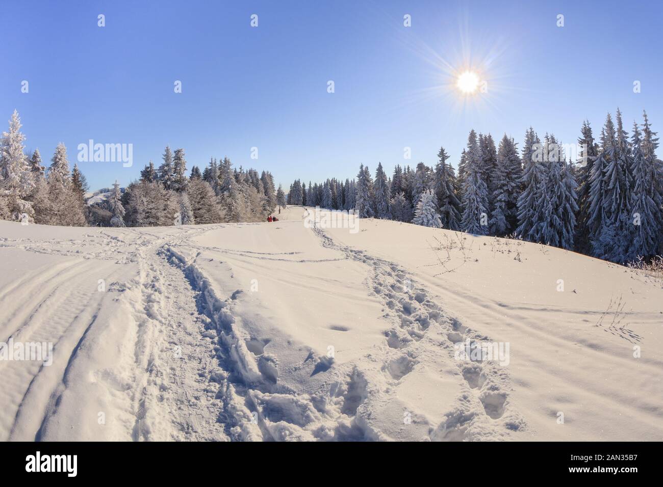 Berglandschaft im Winter. Bucegi Gebirge, Rumänien Stockfoto