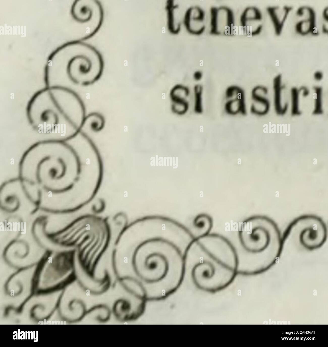 Storia di Castiglione delle Stiere sotto il dominio dei Gonzaga. Rasi sospeso già da un anno dalmarchese Della Rosa; che erasi diffidato il principe a nonriscuoterle, sotto pena della sequestrazione del feudo, nellaquale pena egli era già incorso per averle-legilente. Veduto il commissario che vani riu-scivano i suoi tentativi, e come ogni sua Opera tornavafrustranea, si risolvette di partire alla volta di Milano, ove divulgò davere rinvenuto la popolazione castiglionese, risoluta cola più grande pervicacia di non più obbeireal principale. Dopo la partenza del Conte Bor Stockfoto