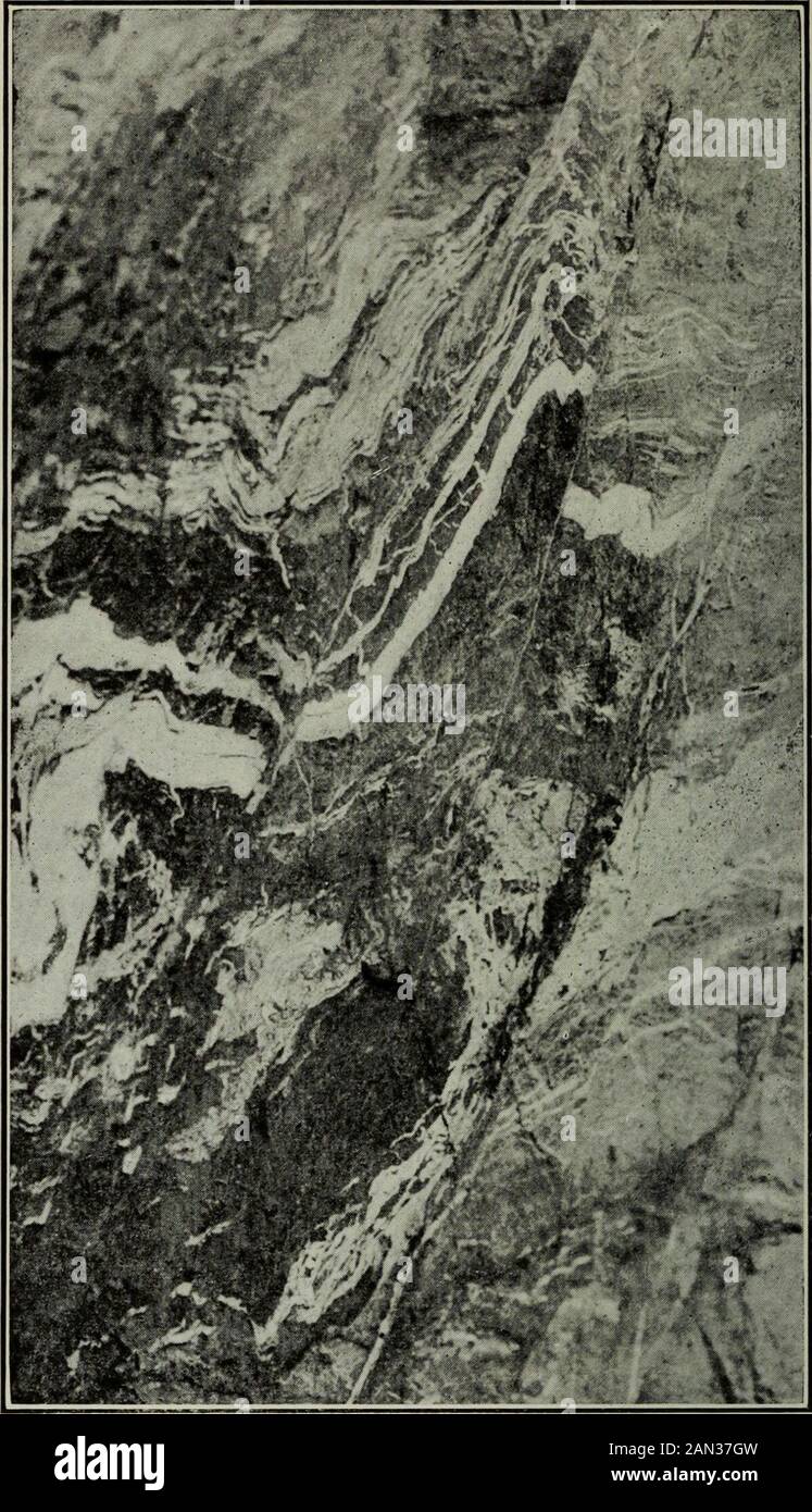 Ausflüge . OUCHES. Laroche qui accompagne le minerai est un schiste Zone Alter-nativement gris clair et gris foncé. La Formation ferrifèreest généralement très redressée. Suvent les bandes sontassez rectilignes et assez uniformes sur de grandes distances, mais très souvent il y a eu plissement et quelquefois mêmeécrasement et cassure sur une petite échelle. Le mineraizone ordinaire contient 36% de fer, et à la Suite de travauxsuperficiels et de sondages au diamant, le directeur de Lamine, M. F. A. Jordan, a calculé quil pouvait exister 100millions de tons de minerai de cette teneur. Il y a Stockfoto