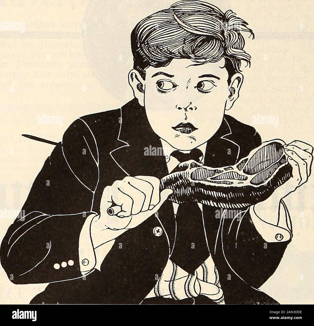 Die geschichte des typs