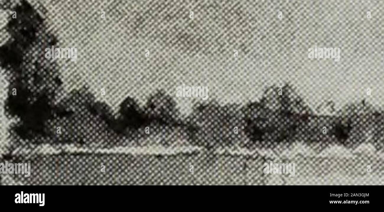 The 1917 Reptonian: Ein jährlicher Publikationsvertreter der Arbeit im beruflichen Kurs Landschaftsgärtnerei an der University of Illinois. : 3. ^^ CLIZAP^ J 1 Std. R FJR D6JV Stockfoto