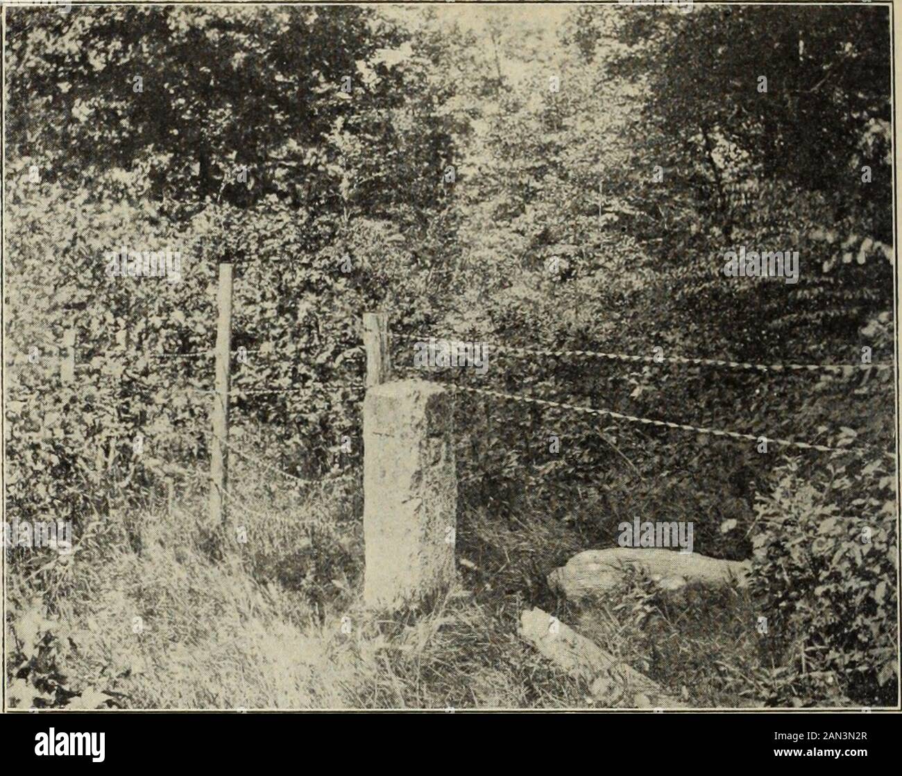 Das magazin acme . stas wurden durch den Wald geschnitten, und die Messungen wurden mit der gemeinsamen Kette so nah wie möglich gehalten, Pole, die entlang des vista stationiert wurden, gesehen. Am Ende von drei Jahren war wenig mehr als die Einrichtung der Halbinselinie und die Messung des Radius. So blieb die Tangente, von der Mitte der Halbinselinie bis zum Tangentialpunkt, der Meridian von Thence bis Apoint 15 Meilen südlich des südlichsten Teils von Philadelphia, mit dem Bogen von Thecircle nach Westen, dem 15 Meilen Dis-tance und dem PA, erhalten Stockfoto