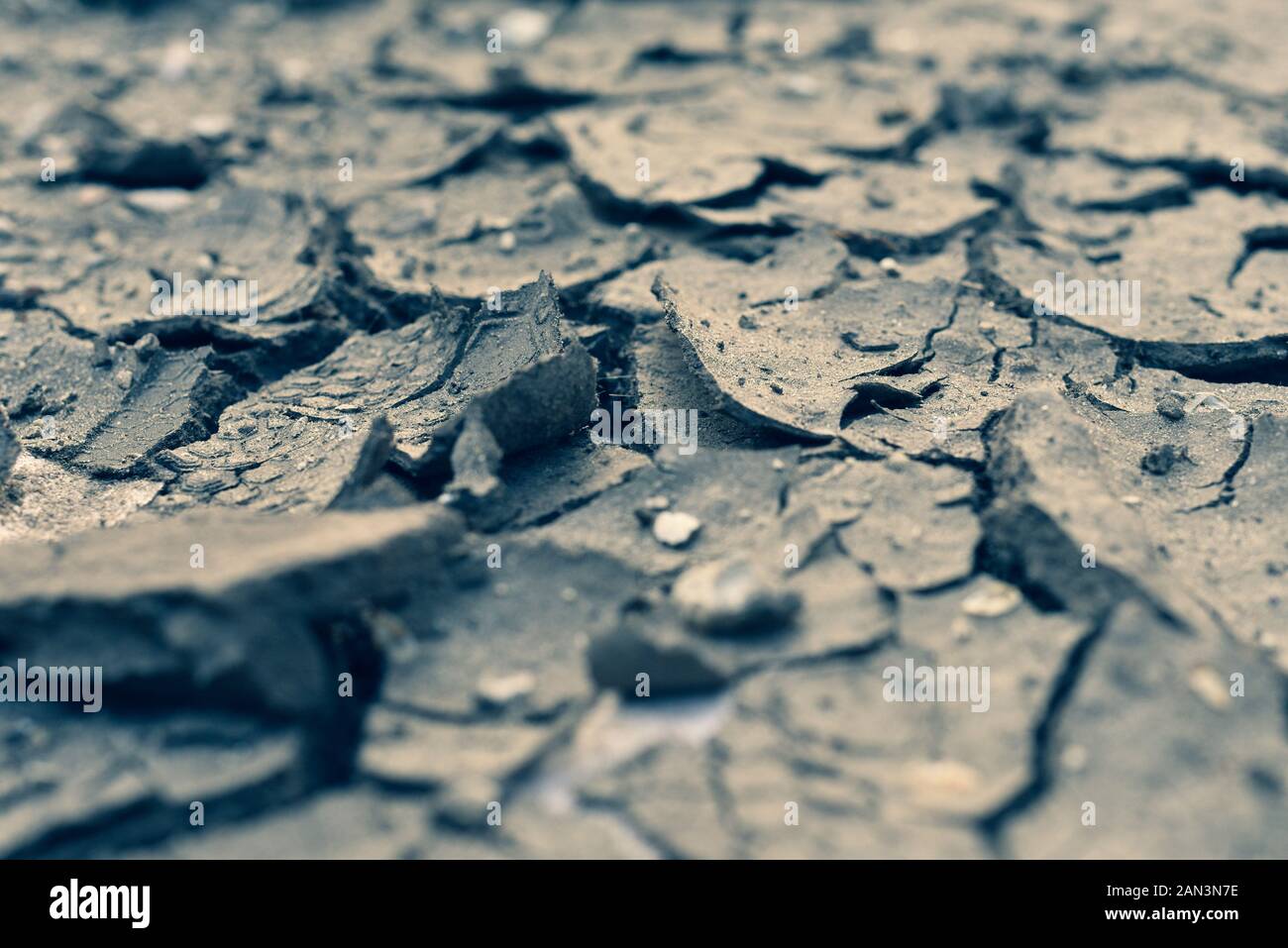 Ausgetrocknete Boden close up, kopieren. Risse auf der Oberfläche der Erde. Mangel an Feuchtigkeit, der Mangel an Wasser. Stockfoto