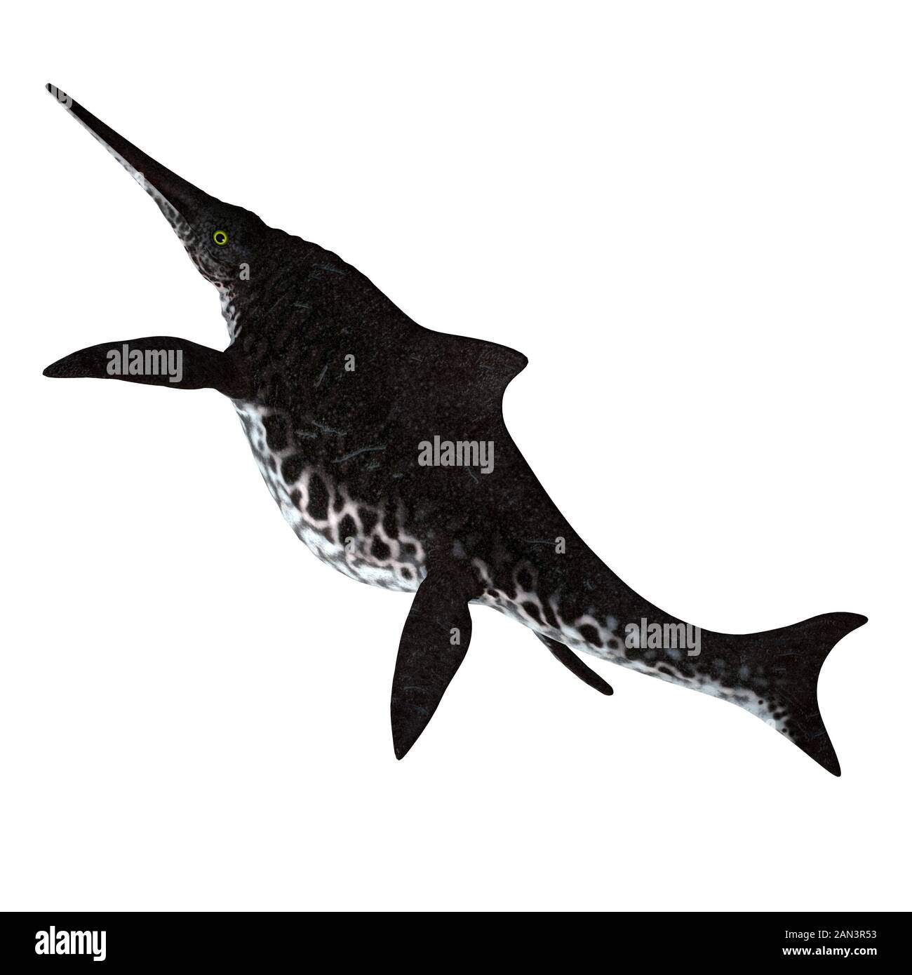 Shonisaurus popularis war ein Ichthyosaurier, der während der Trias in den Meeren Nordamerikas lebte. Stockfoto