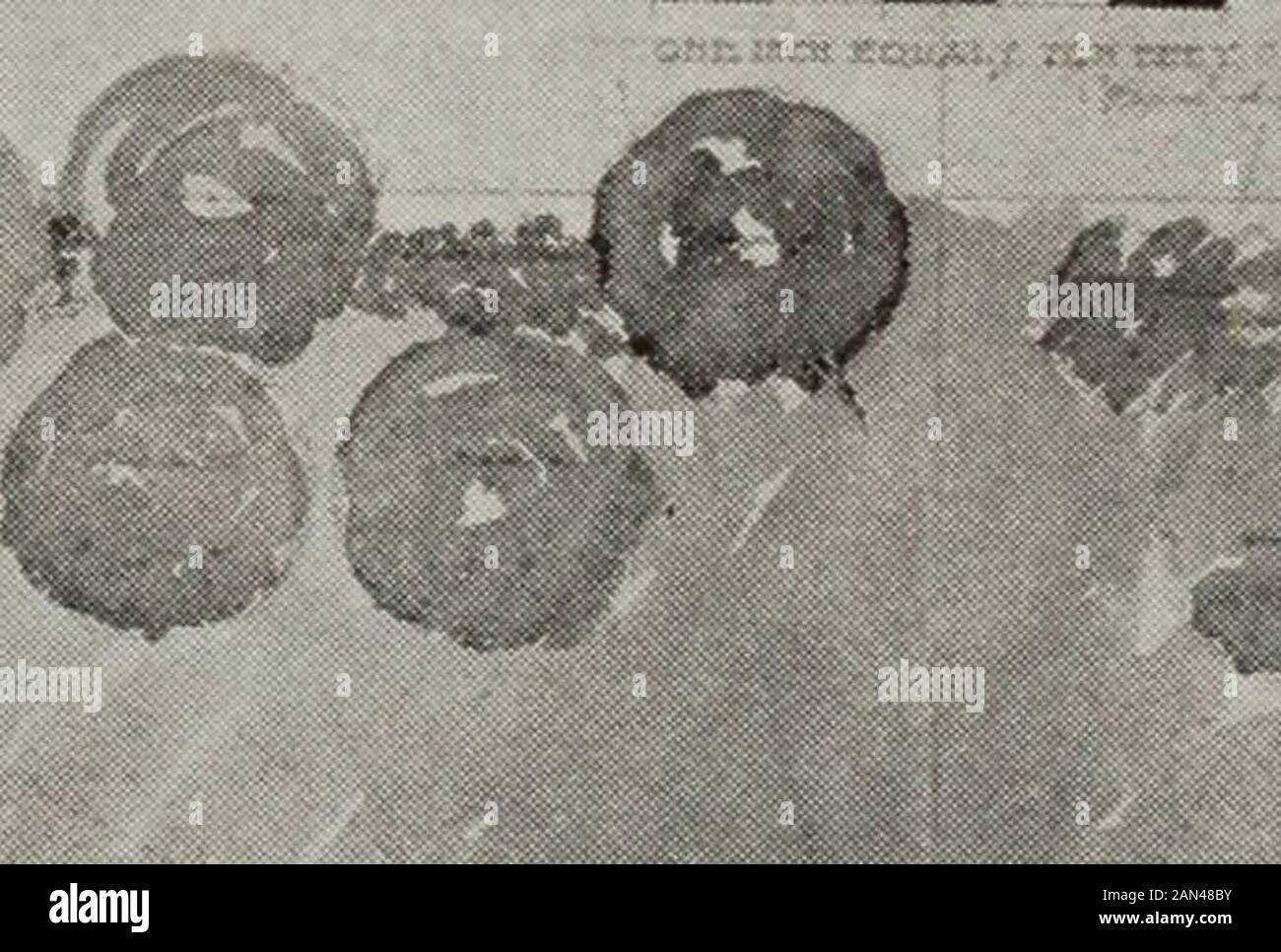 The 1917 Reptonian: Ein jährlicher Publikationsvertreter der Arbeit im beruflichen Kurs Landschaftsgärtnerei an der University of Illinois. A UAVIDL PAPIC -I&GT;WILLIAA-G-1IIBBARD :. Stockfoto