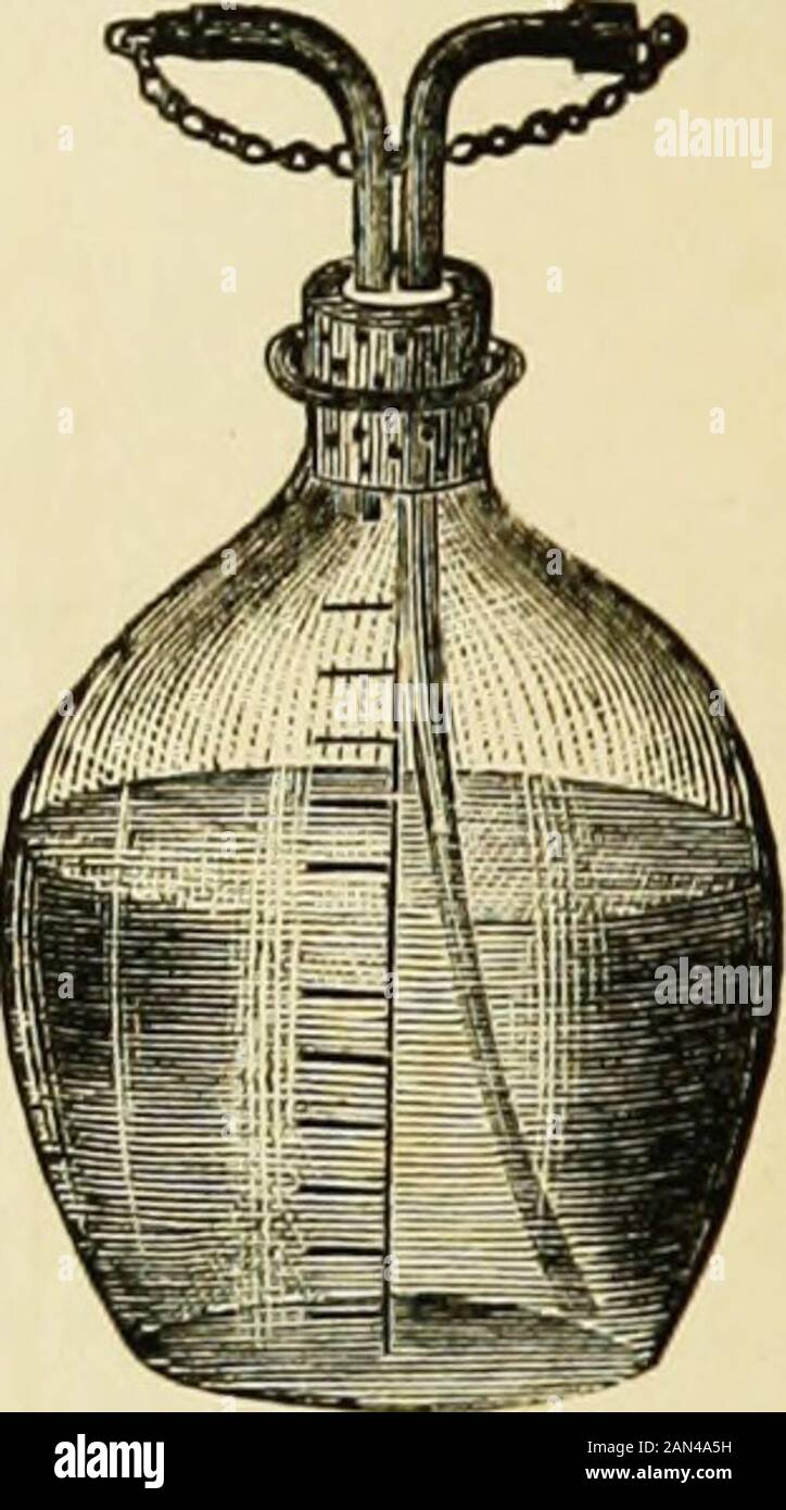 Künstliche Anästhesie und Anästhetika . Skinnerfl Inhalator, um ein MetJiod der Inhalation zu entwickeln, das so von Sansom(Op. Cit., S. 179) beschrieben wurde: Der Apparat, den er emi^loys ist, erstens ein Beutel für die behandlung des amästhetischen Mixtui-e; zweitens ein Anangemeut zum Befüllen des Bagmit einem bestimmten Anteil an Chlorofm-m und aoi-ii. Der Beutel ist groß und groß und kann ausreichend Chloroformatmosphäre enthalten, um ihn für mehrere Inhalationsfälle zu servetieren. Es ist ein luied -ndth Film aus einem Material (Suchas Gold-beaters Haut), das in der Lage ist, die Lösungsmittelwirkung von Chloroform resistiv zu machen. Eine Fle Stockfoto