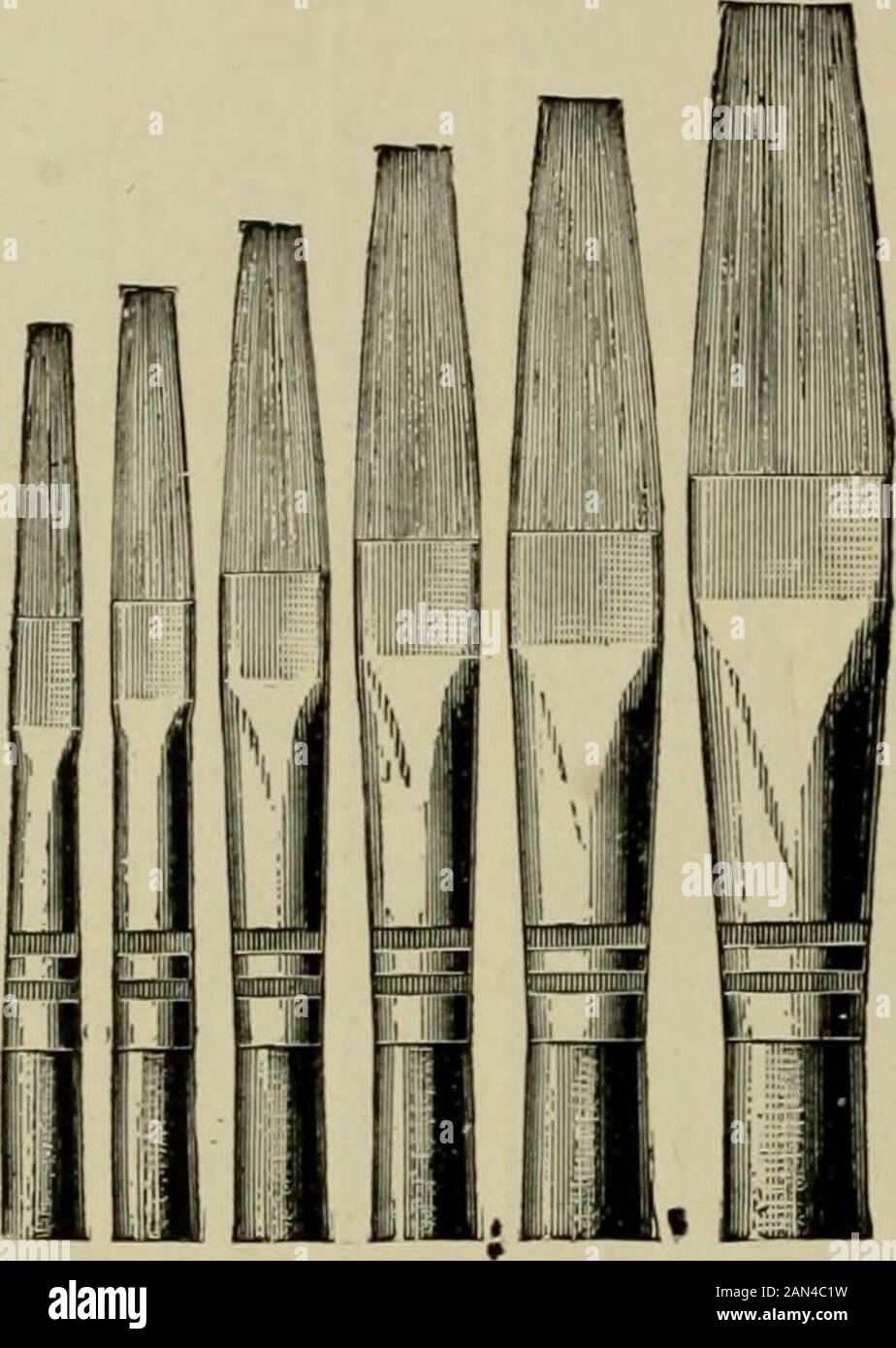 Lackierung: Eine Bedienungsanleitung mit vollständiger Beschreibung aller erforderlichen Materialien. . I 30 3 00 46 A. S. ALOE-COMPANY. ÖLGEMÄLDE-FORTSETZUNG.AALE EXTRA SUPERBORSTIGE LANDSEER PINSEL. Geeignet zum Malen von Haaren, Laub, Gräsern usw. 1229 Nr. 1. 2..3..4..5... Nr. 1329. Polierte Griffe. Flache, Lange Borsten und besonders dünn. Jeweils. Perdoz. 0 06 USD 0 55 06 C5 08 75 . 08 90. 10 1 00 10 1 10 ALLEUES FLAT BORSTLE LACK PINSELS. Stockfoto