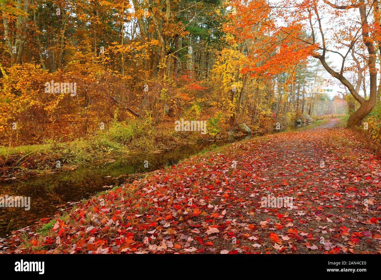 Die Wayside Inn Schrotmühle mit Wasserrad und Cascade Wasser fallen im Herbst. Stockfoto