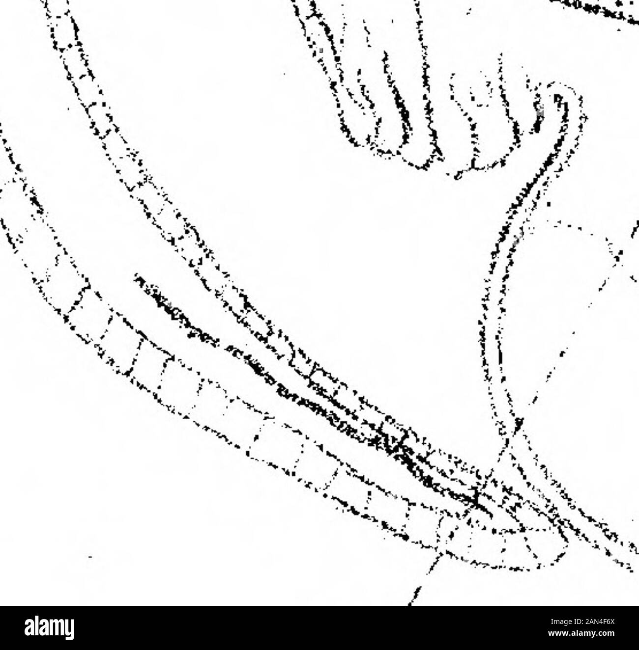 Ew i Ausgeschnittene Stockfotos und bilder Alamy