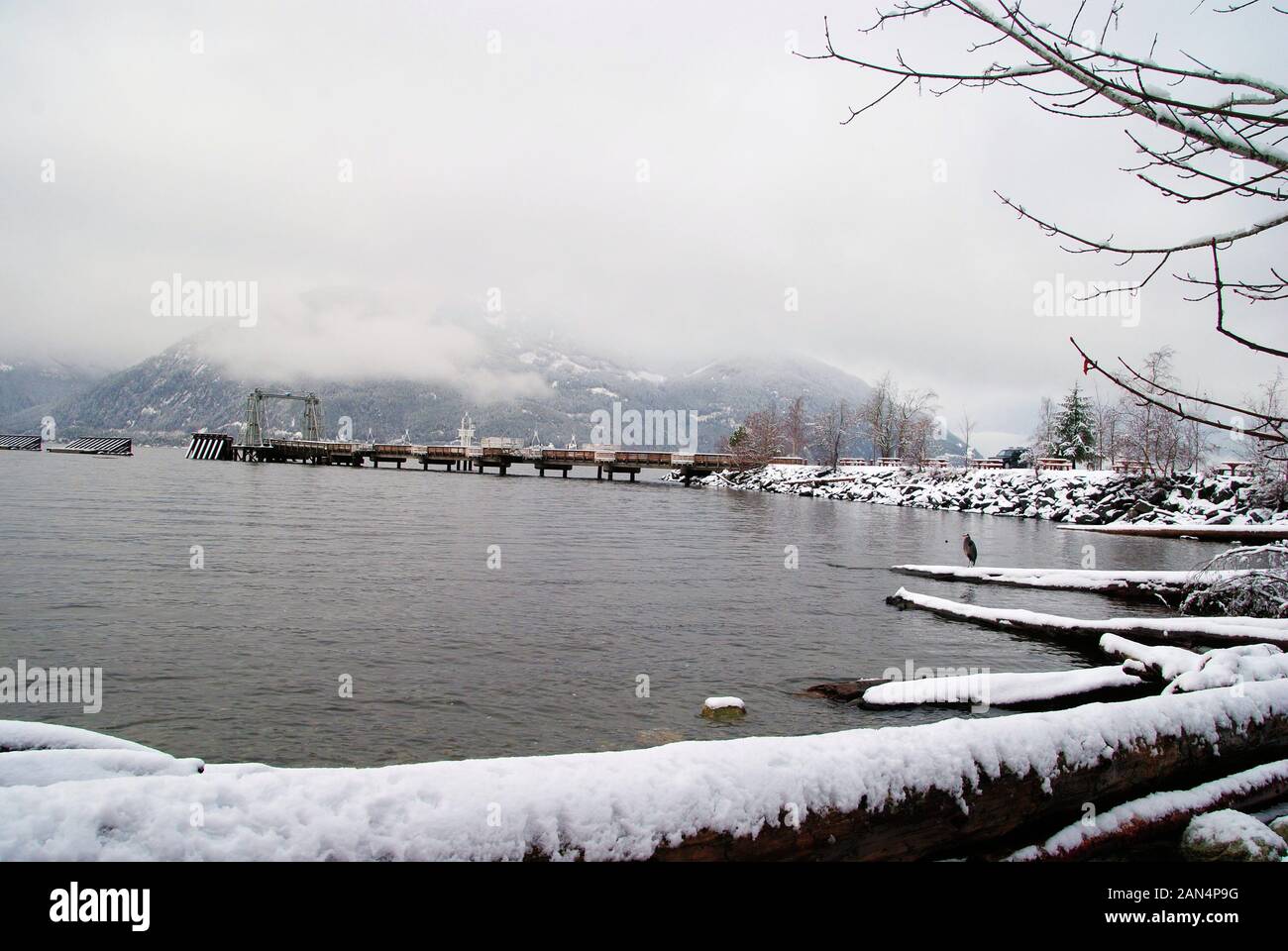 Am Pier in Porteau Cove Provincial Park in einem weißen Winter verschneite Landschaft und eine Blue Heron auf einem Baumstamm Stockfoto