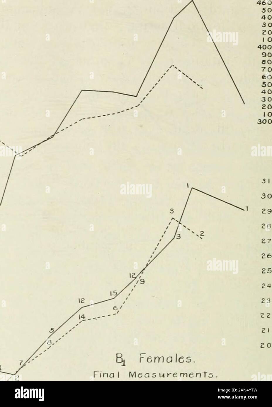 Zeitschrift für experimentelle Zoologie. 88 erwachsenen Frauen. von Body Lencjlh eine GenerationB Kalt. 6 Warm wie 86 87 86 69 90 91 92 S3 94 SP se gruppiert. 97 93 99 100 101 lOZ ich 03 104 105 Abbildung 5 die Abbildungen 5 und 6 erlauben einen Vergleich zwischen dem warmen und kalten - Zimmer Abschnitte der Bi Frauen, Abbildung 5 Wie - klug einschließlich Kurven für die Weibchen der eine Generation (bothsections Kombiniert). Diese Zahlen stimmen mit der Tabelle in 370 FRANCIS B. SUMNER Haar. 40 090 SO 70 & 0 SO 4030 EOI O 30090, 7060504030 EOI O ECO ISO 242322 I7 I6. WeiqhT. ao abschliessende Messungen. 6 Hesse 36 d von Body Lenath. Gold ist Warm 86 37 S6 89 90 9. Stockfoto
