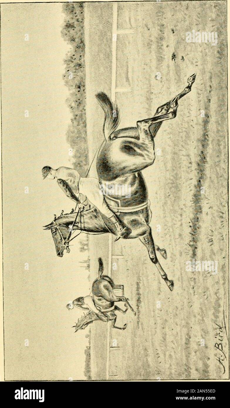 Der Rasen. nt. Die Vorspeisen Objekt ist Feld in einer Linie zu getthe, um zu sehen, dass keine Jockey Trab ist orcantering, aber das sind alle an einem Weg; und wenn das lineis einmal gerade, zu sagen! Und flash seine Fahne auf Denboden. Das Geschäft ist schwierig, aus mehreren Gründen. Jockeys oft nicht in der Lage, ihre Pferde zügeln; sometimesa Wenige sind alle Angst weg zu erhalten, nur thefall der Fahne zu antizipieren, und so einen Vorteil stehlen; bei Gelegenheiten, es zu befürchten ist, dass Sie nicht alle wollen toowell weg zu erhalten; und es gibt Zeiten, in denen Sie verlieren ihre tempersand geben, so viel Mühe wie Sie es wagen, persi Stockfoto