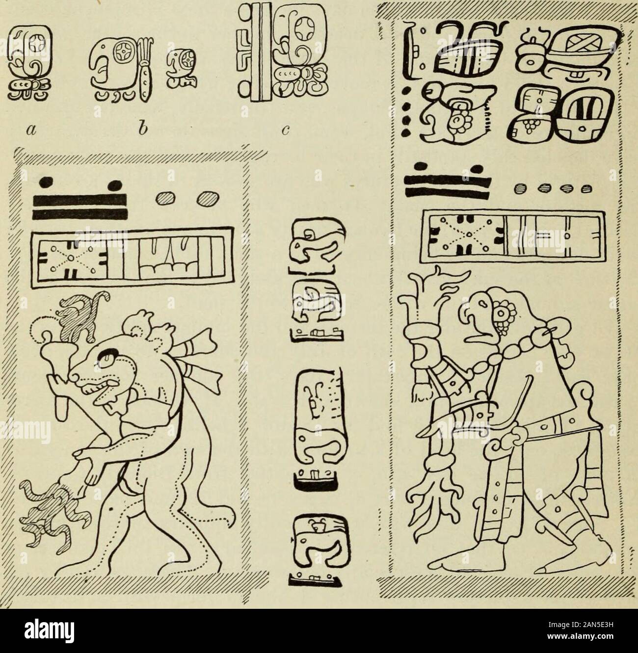 Mexikanischen und Zentralamerikanischen Antiquitäten, Kalender, und Geschichte;. ^ nur zufällig sein, dass der vierte Tag der thew^ eek von 13 Tagen ebenfalls unten^ festgestellt (siehe d). In der Dresdencodex, Seite 39 a, der Blitz Tier trägt auch zwei Fackeln, ein Punkt-ing und die andere nach unten (siehe e). Die Schildkröte ist vor allem, dass ein Teil der frequentin Troano Codex Madrid, seit langem von ihr getrennt, die nun gemeinhin als Codex Cortesianus. Es ist nicht "Schild Krote und Schnecke in der Mayalileratui -, Dresden, 21. Juni 1892. 423 424 BÜRO DER AMERIKANISCHEN ETHNOLOGIE [Stier. 28 treten in der t Stockfoto