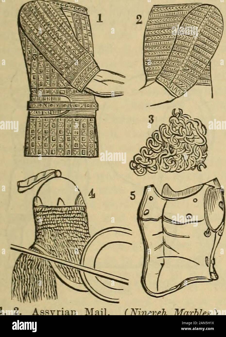 Ein Wörterbuch der Bibel.. . Ägyptische Schilde. {Nach Rosellini.) 1. Der Schild oder Buckler wurde probablyone der frühesten Stücke von Rüstung, für al-Lusion wird oft gemacht durch die earliestwriters. Gen. 15:1; Ps. 5:12; 18:2:47: 9. Es war in verschiedenen Größen, und usuallymade aus hellem Holz und überdachte withseveral Falten oder Dicken von stouthide, die erhalten wurden und polishedby häufige Anwendungen von Öl, Isa. 21:5 Und oft mit Kreisen ofvarious Farben oder Figuren bemalt. Nee. 2:3. Manchmal Korbweiden, oder Schilf gewebte likebasket - Arbeit, wurden verwendet, um thehide auf, und manchmal t zu dehnen Stockfoto